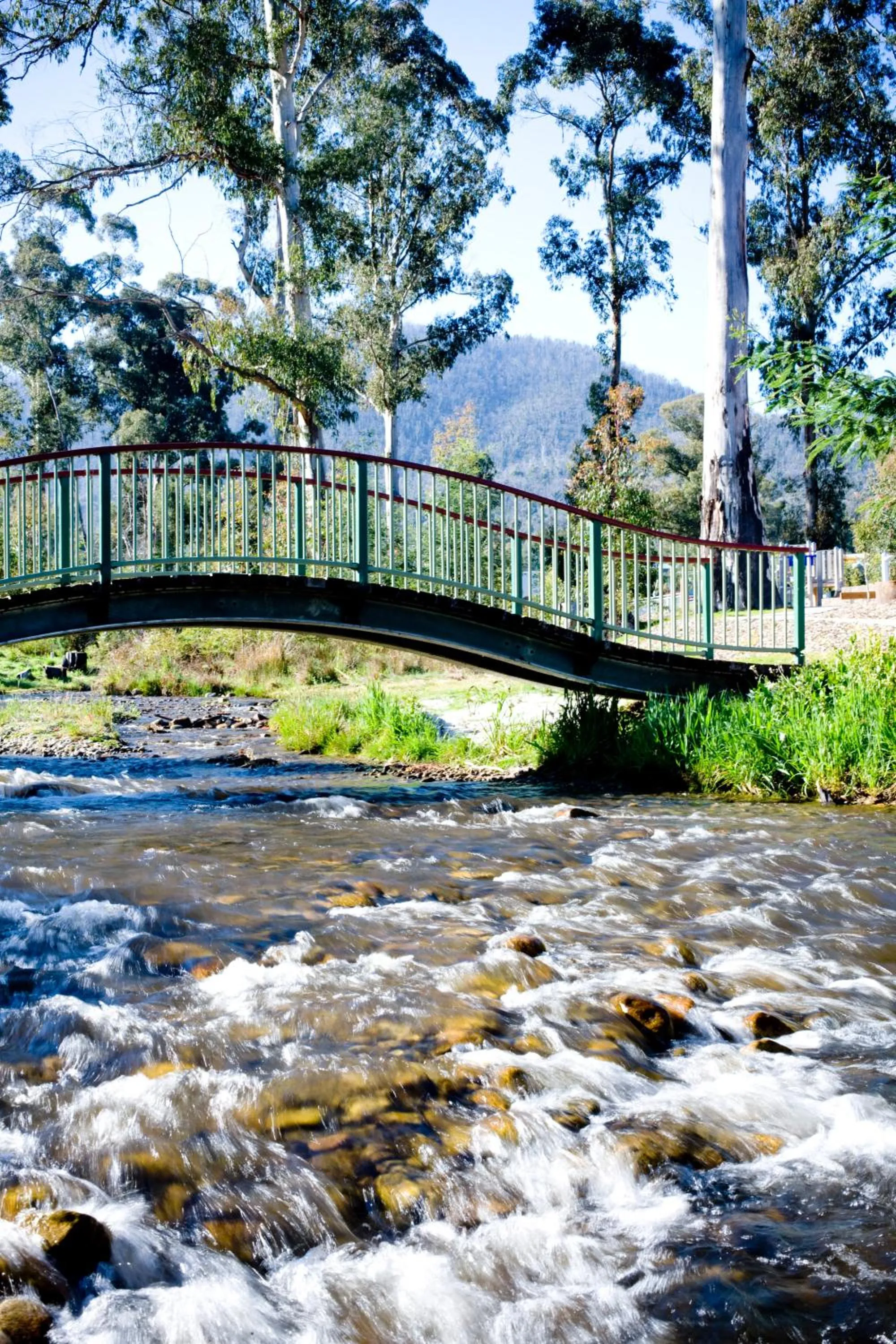 Area and facilities in Tower Motel Marysville