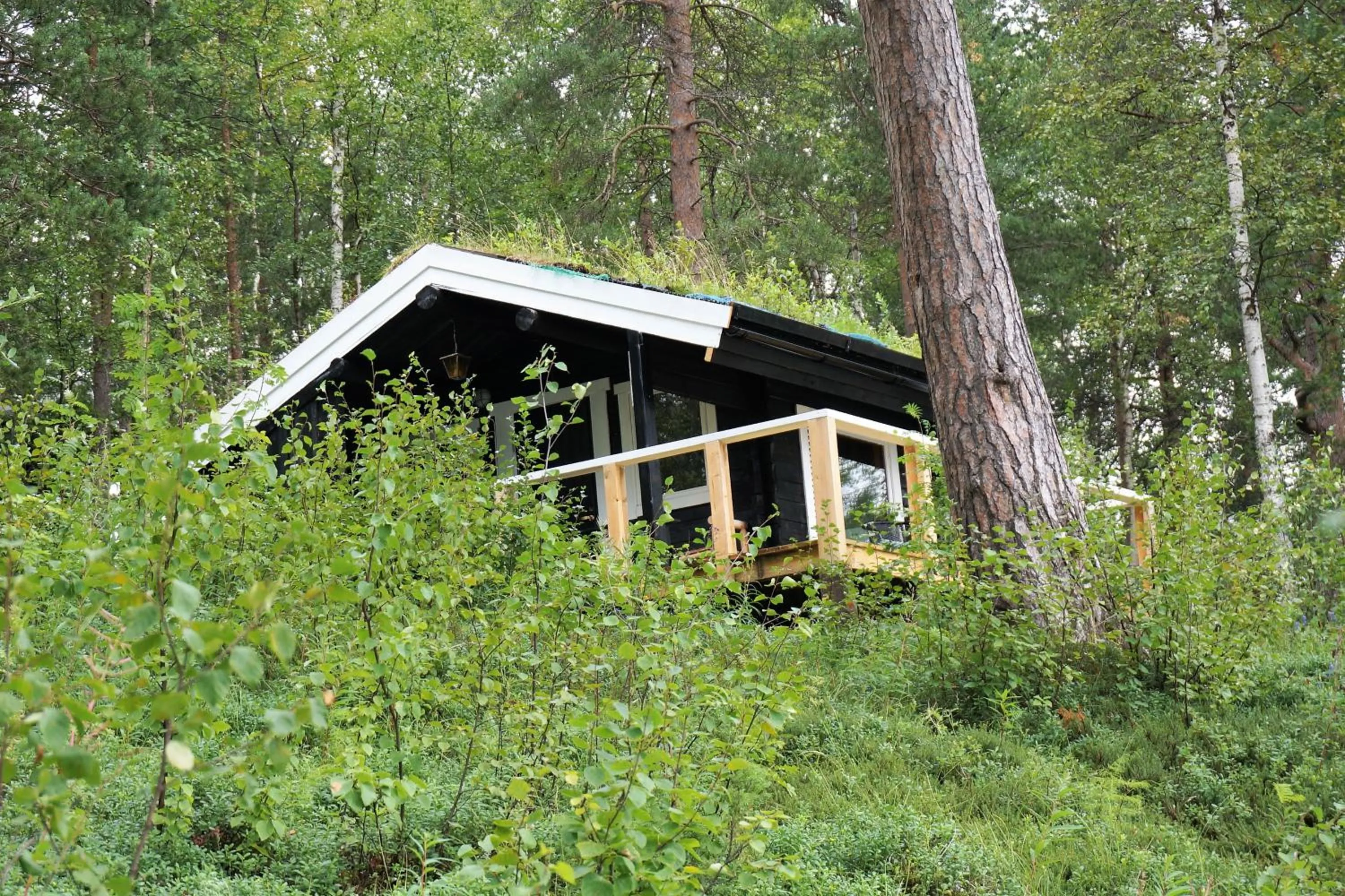 Property building in BIRK bed & birds