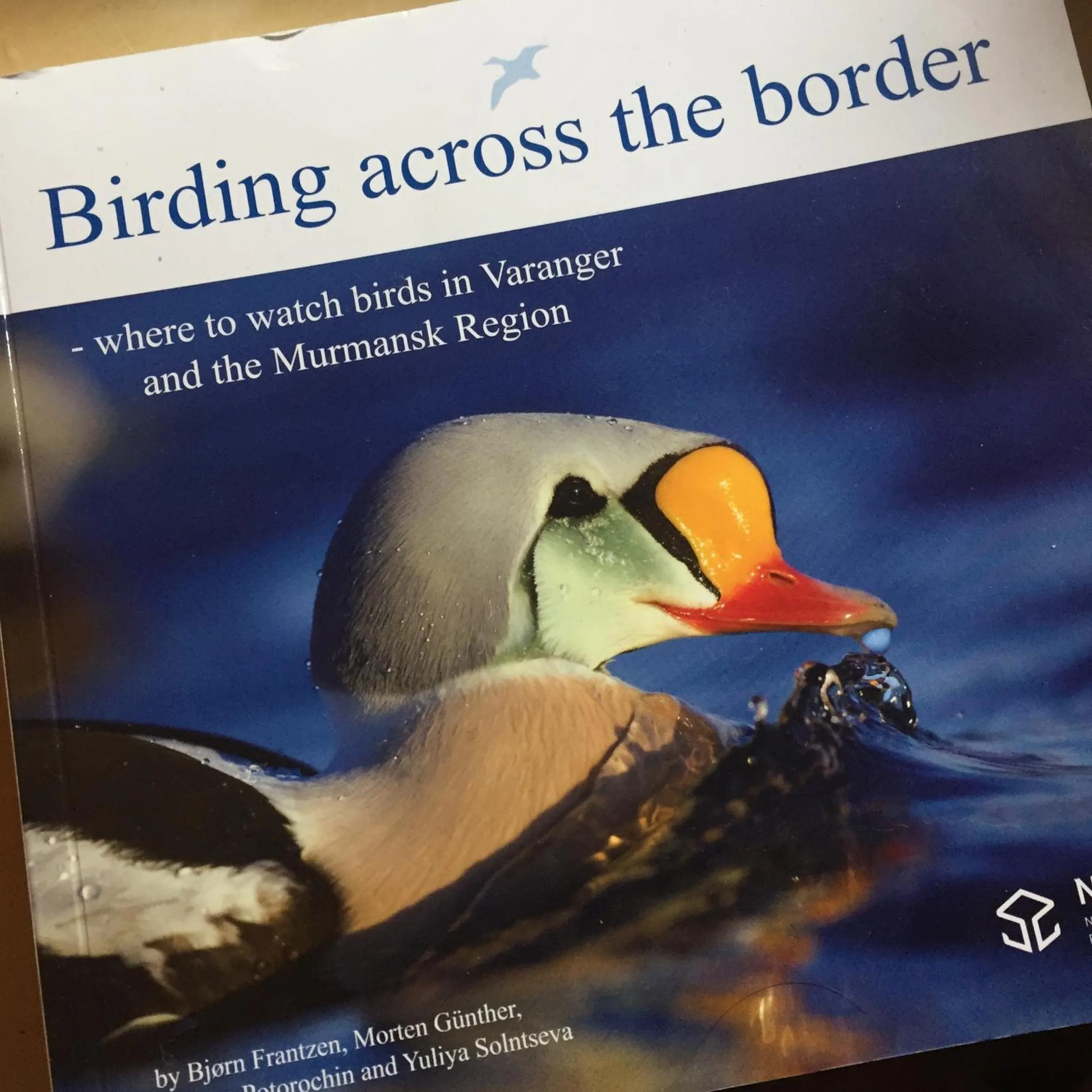 Activities in BIRK bed & birds