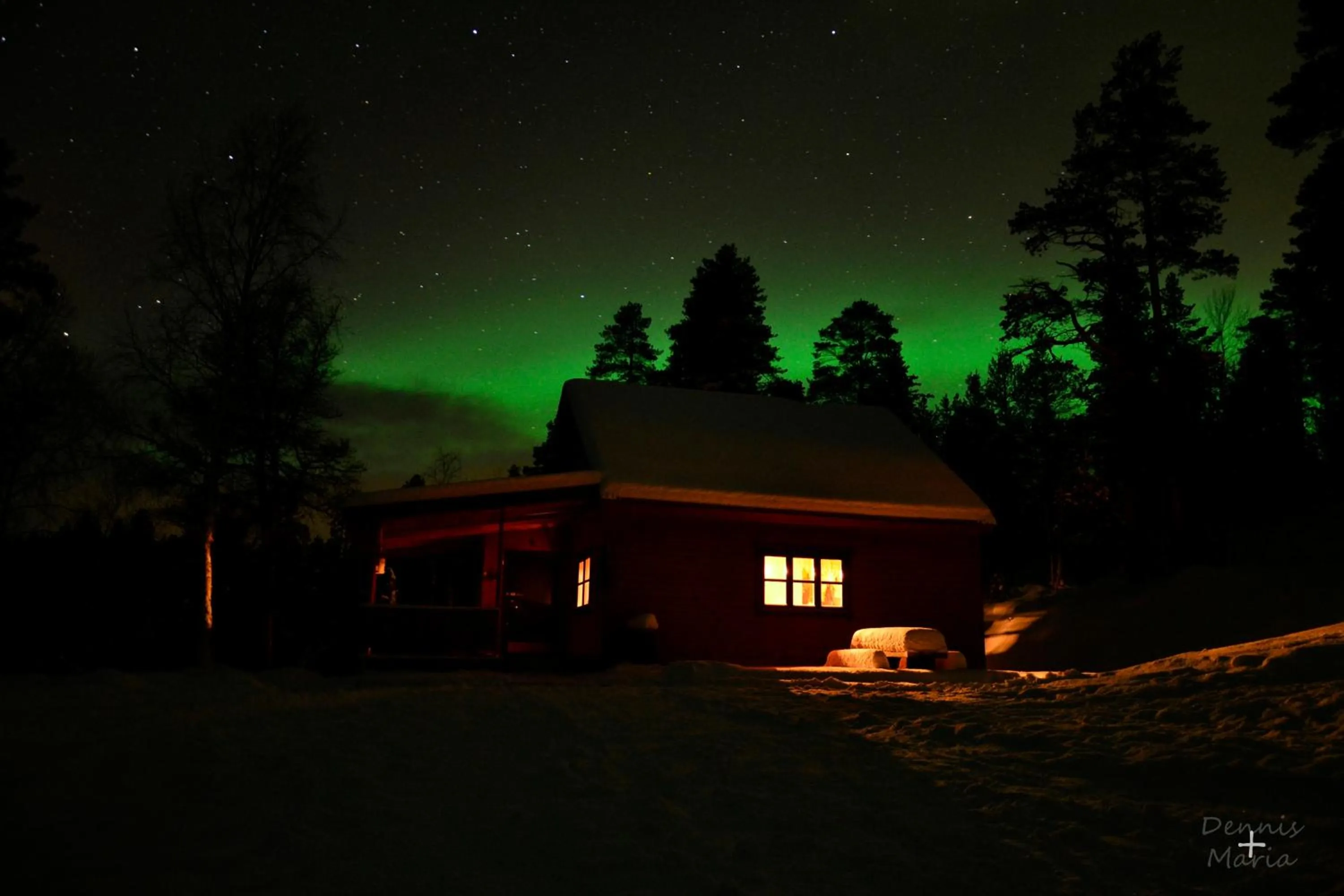 Other in BIRK bed & birds