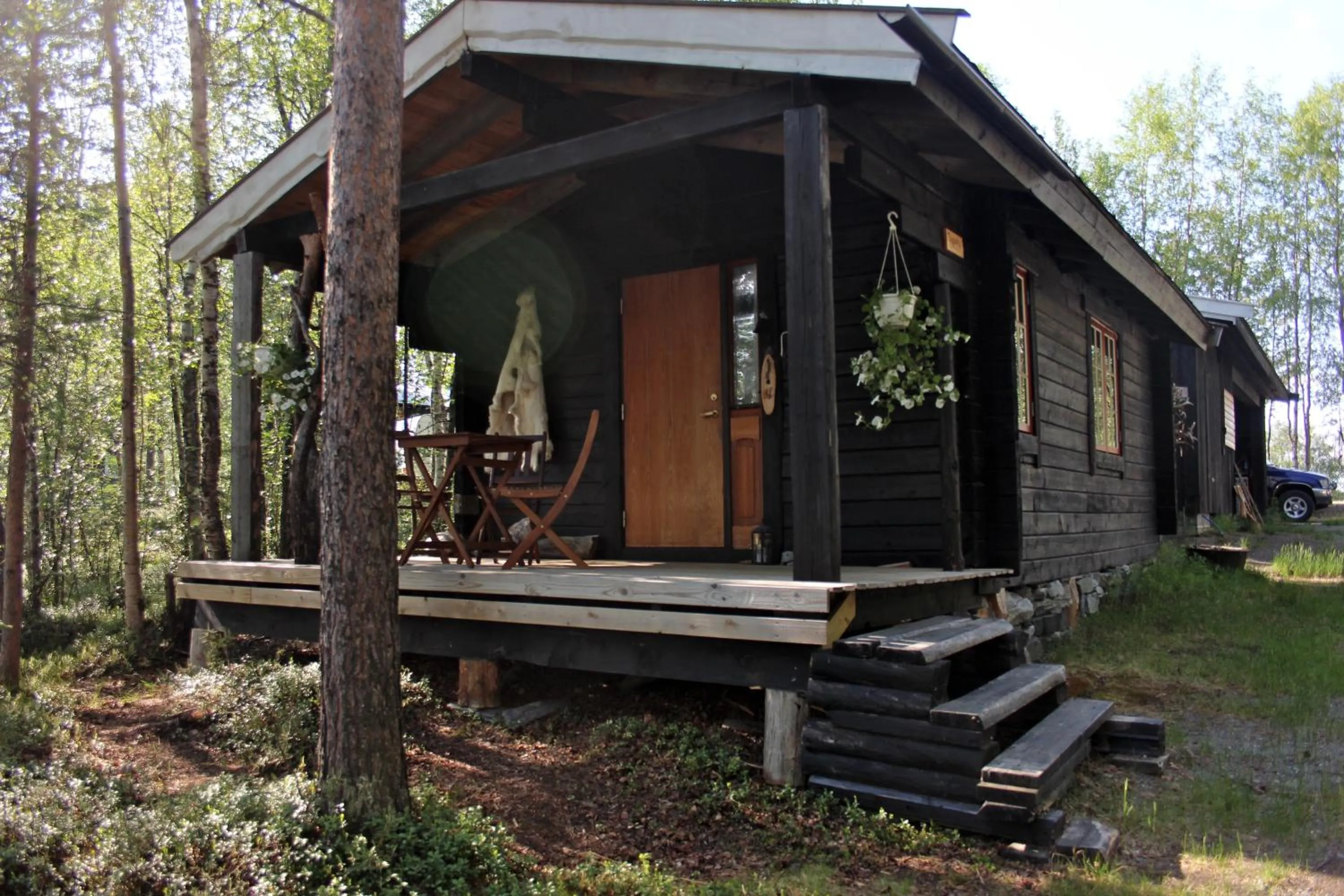 Patio in BIRK bed & birds