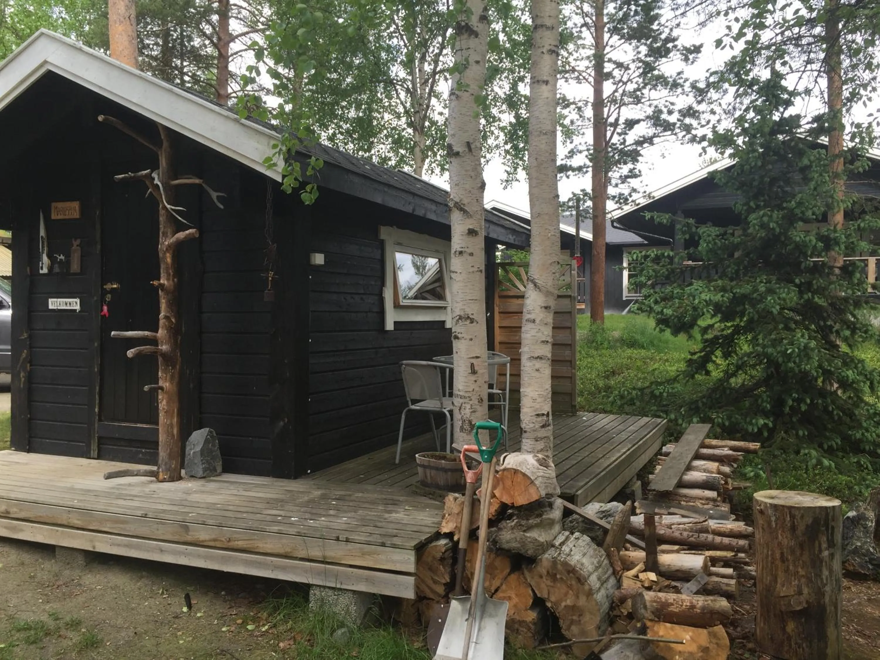 Patio in BIRK bed & birds