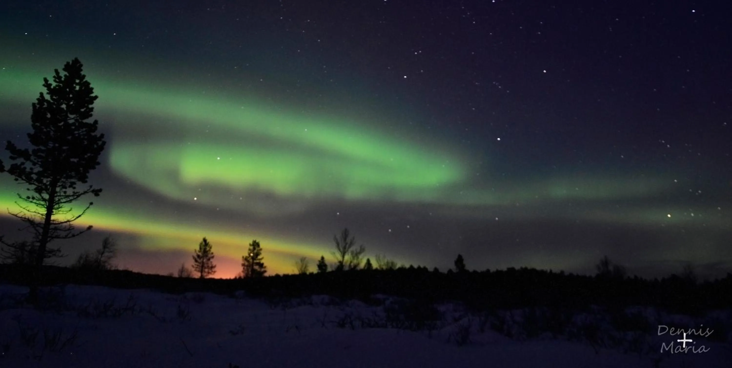 Other in BIRK bed & birds