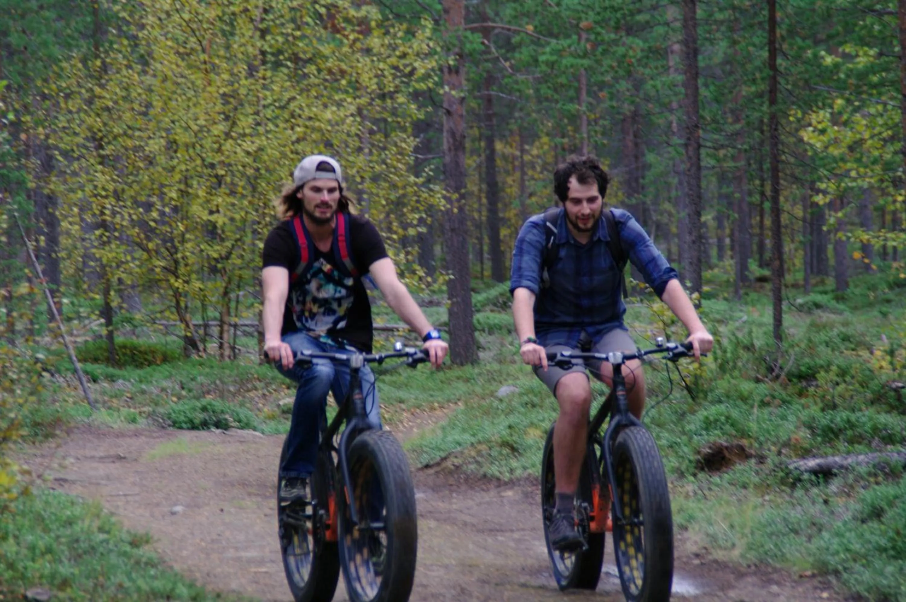 Staff in BIRK bed & birds