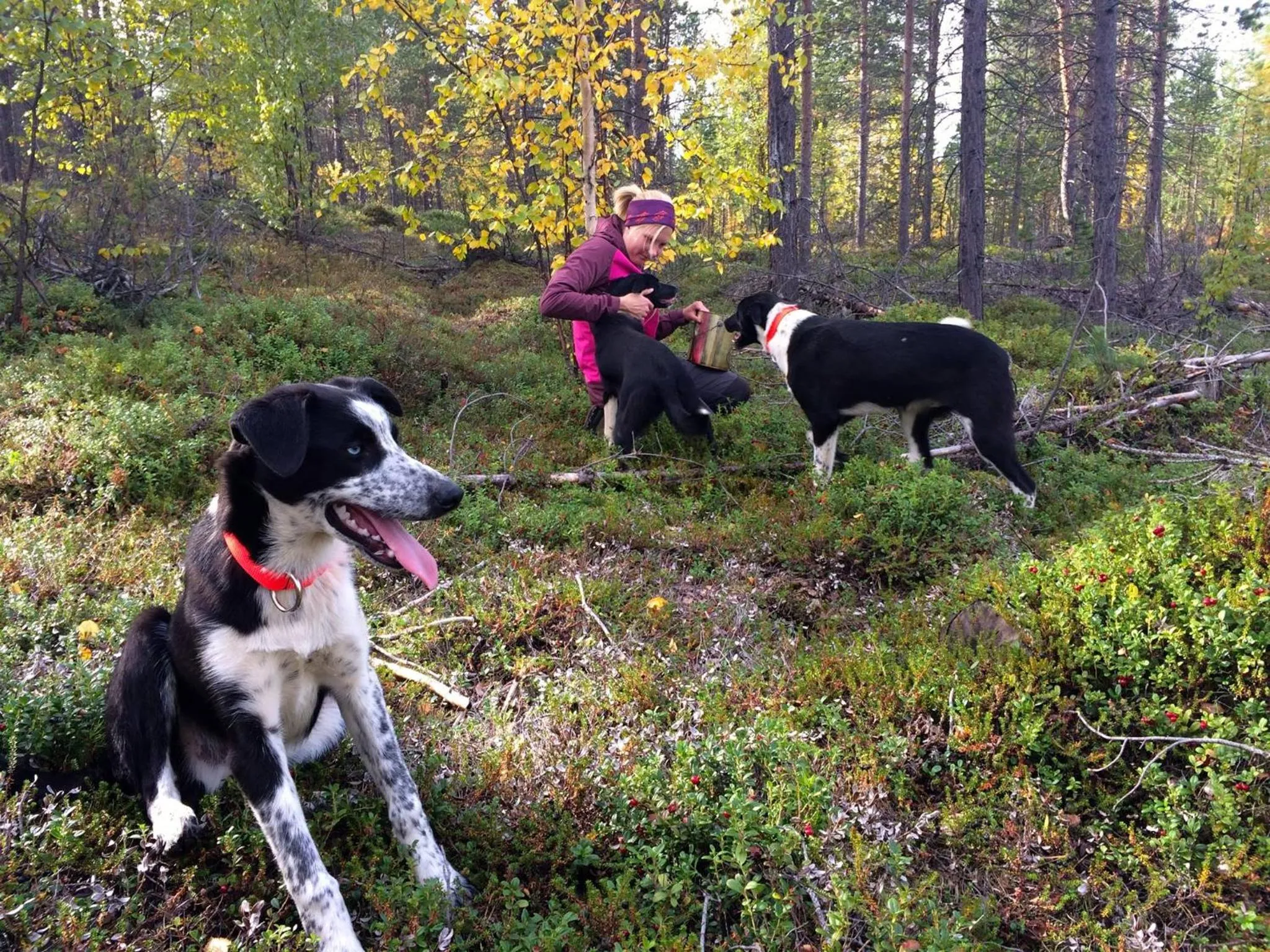 Hiking in BIRK bed & birds