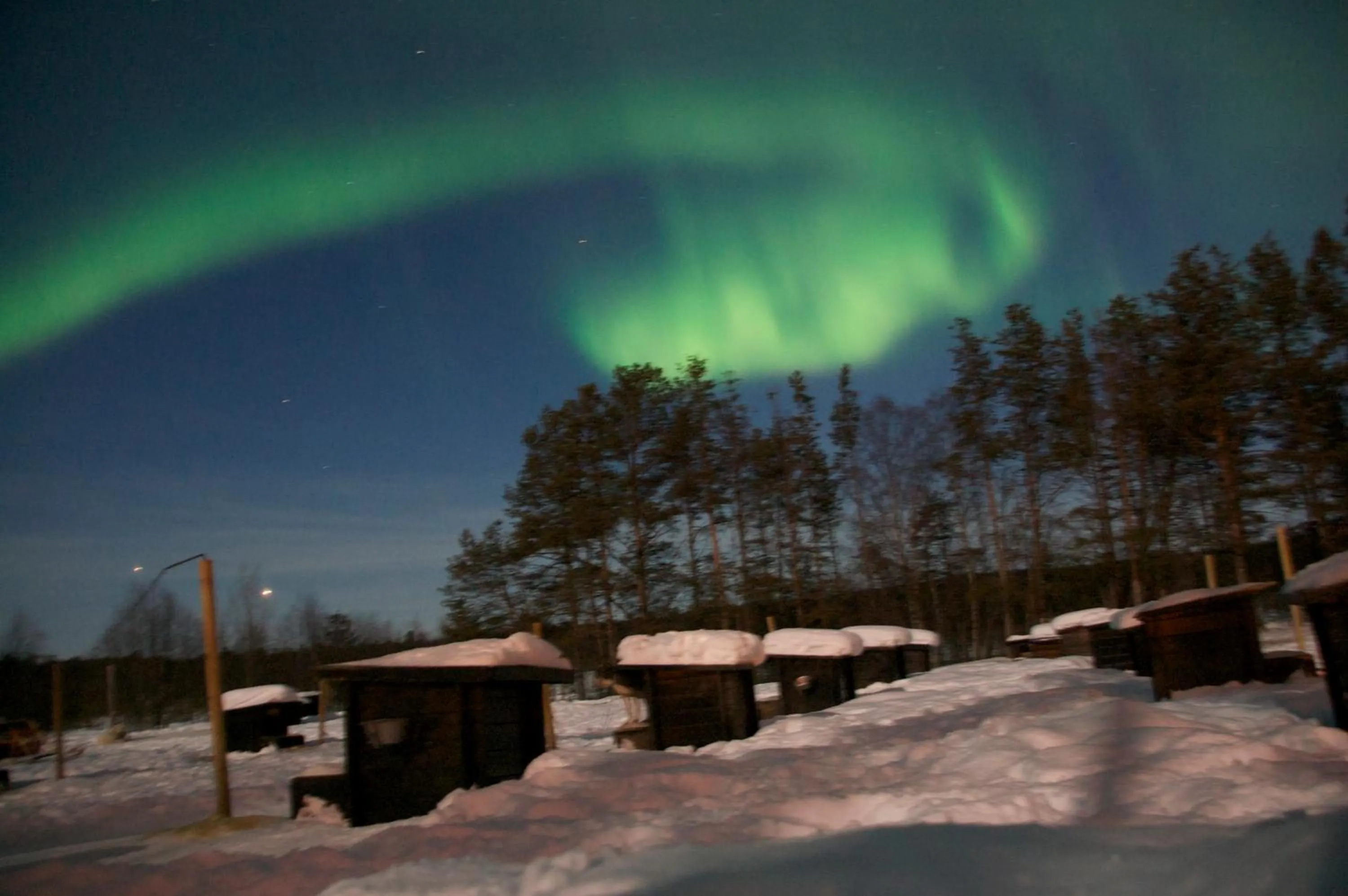 Area and facilities in BIRK bed & birds