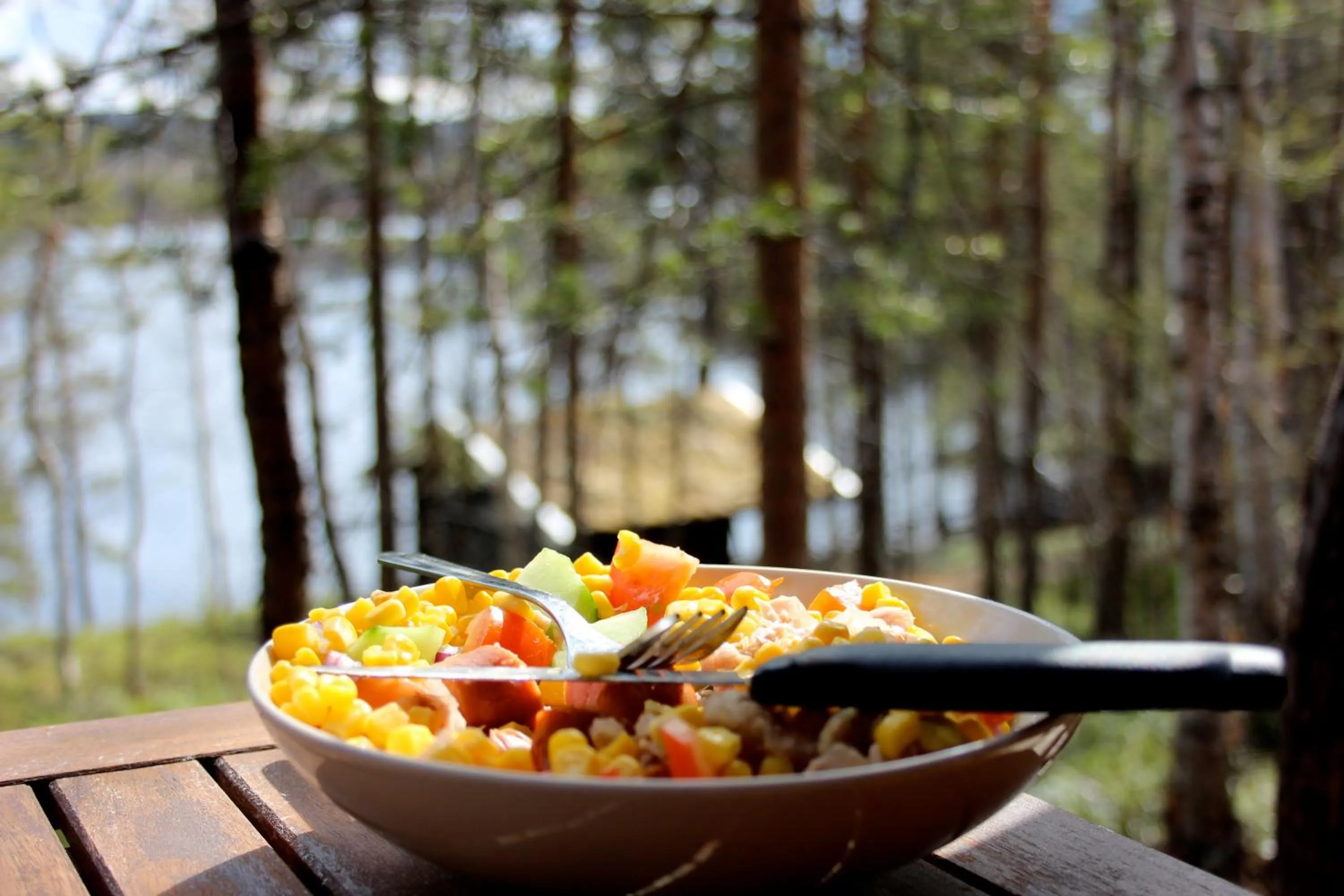 Garden in BIRK bed & birds
