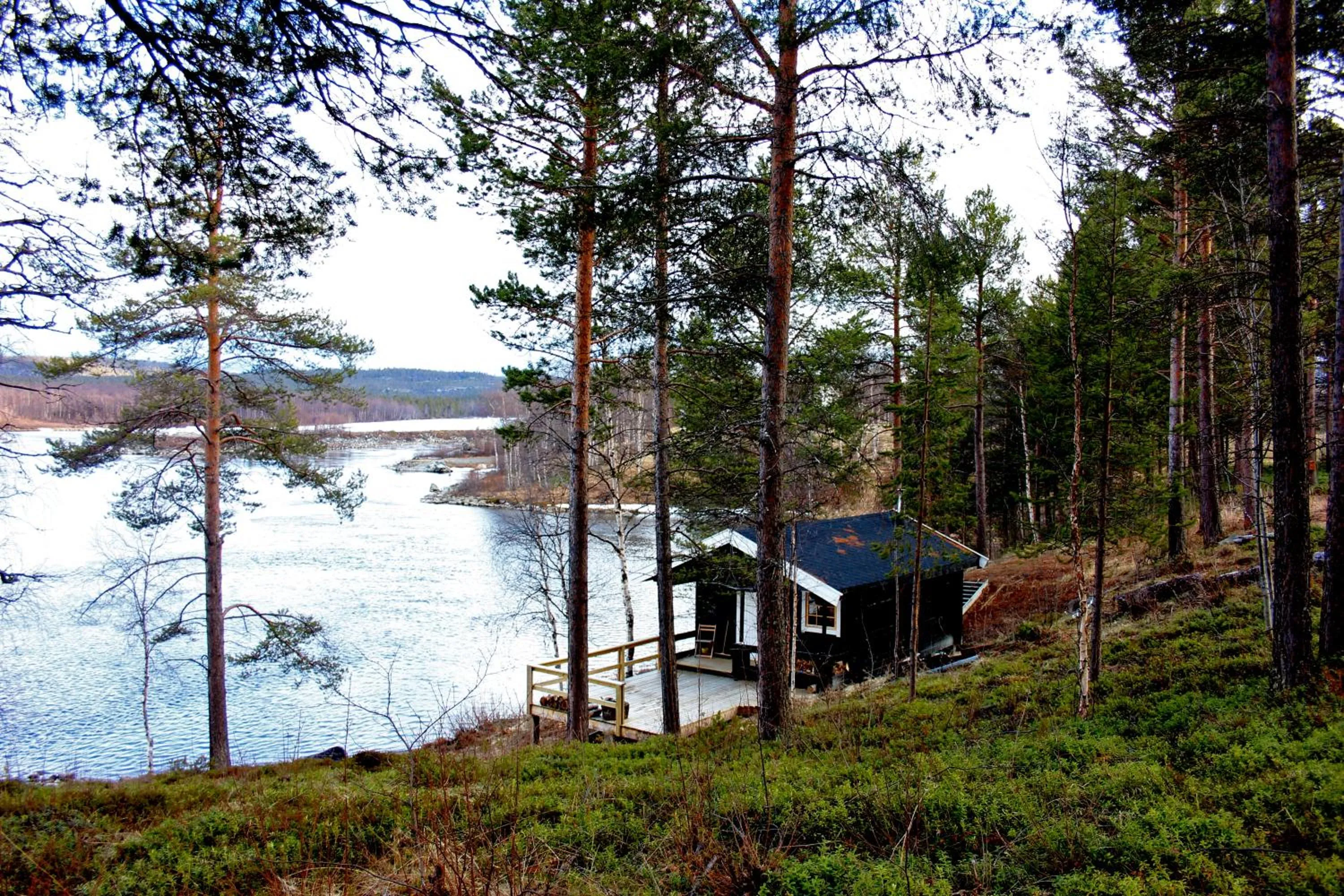 Other in BIRK bed & birds