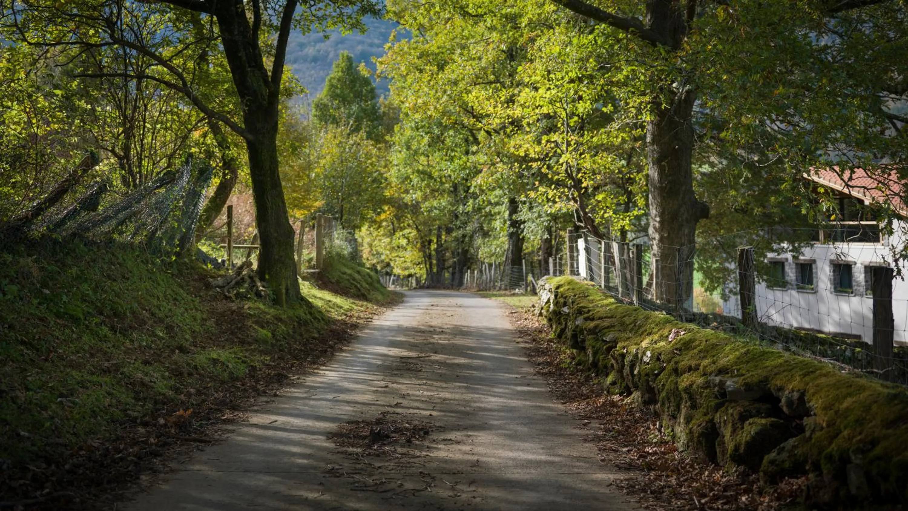 Neighbourhood in Arantza Hotela - Boutique Hotel "Adults Only"