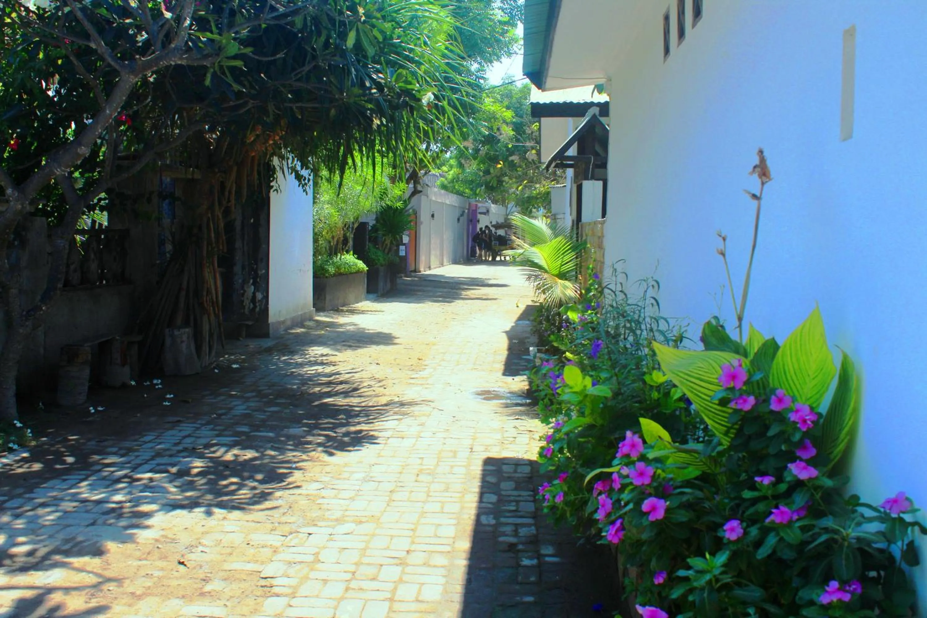 Off site in Padanta Homestay