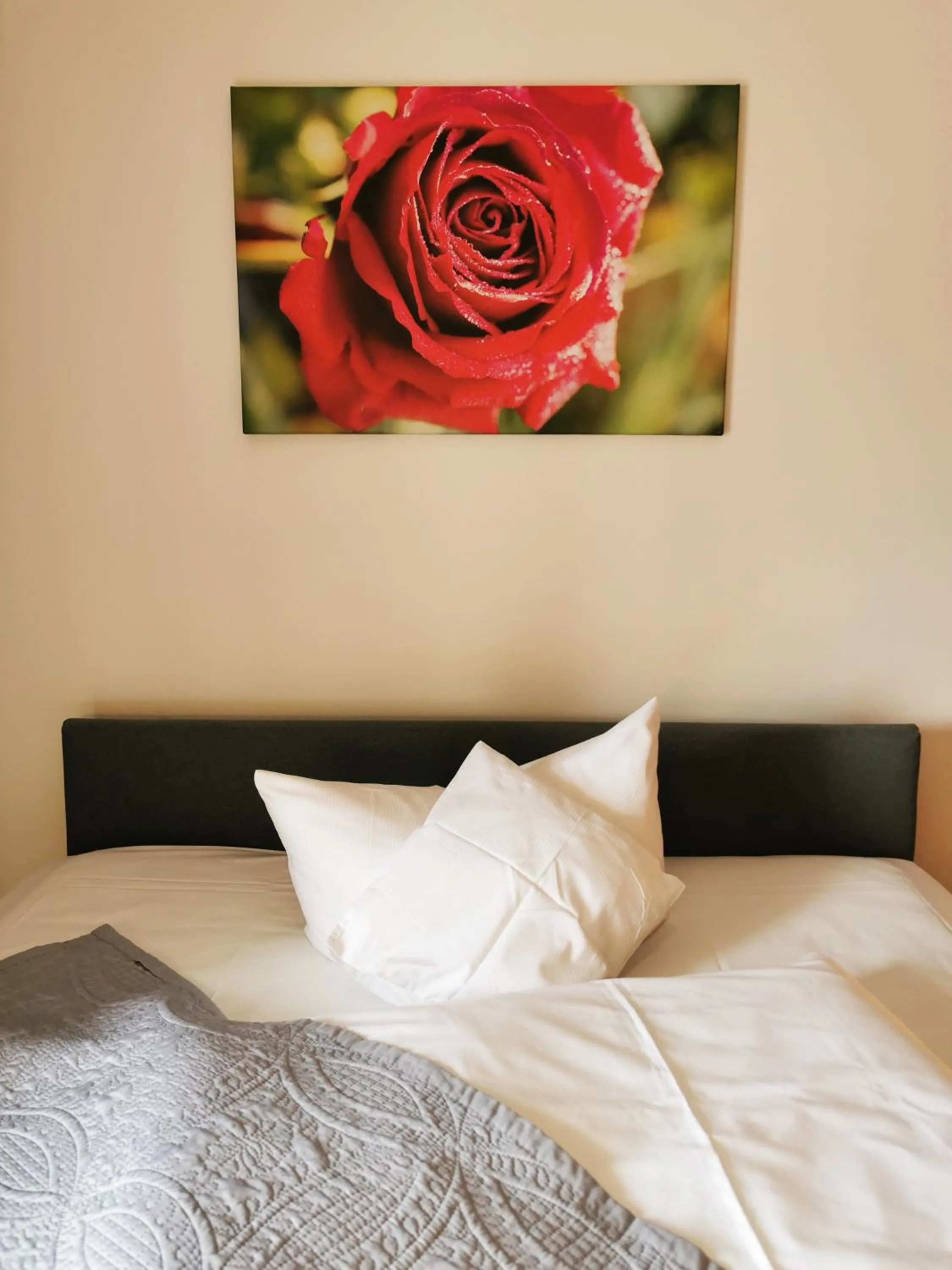 Bed in Speicher Barth - Superior-Hotel