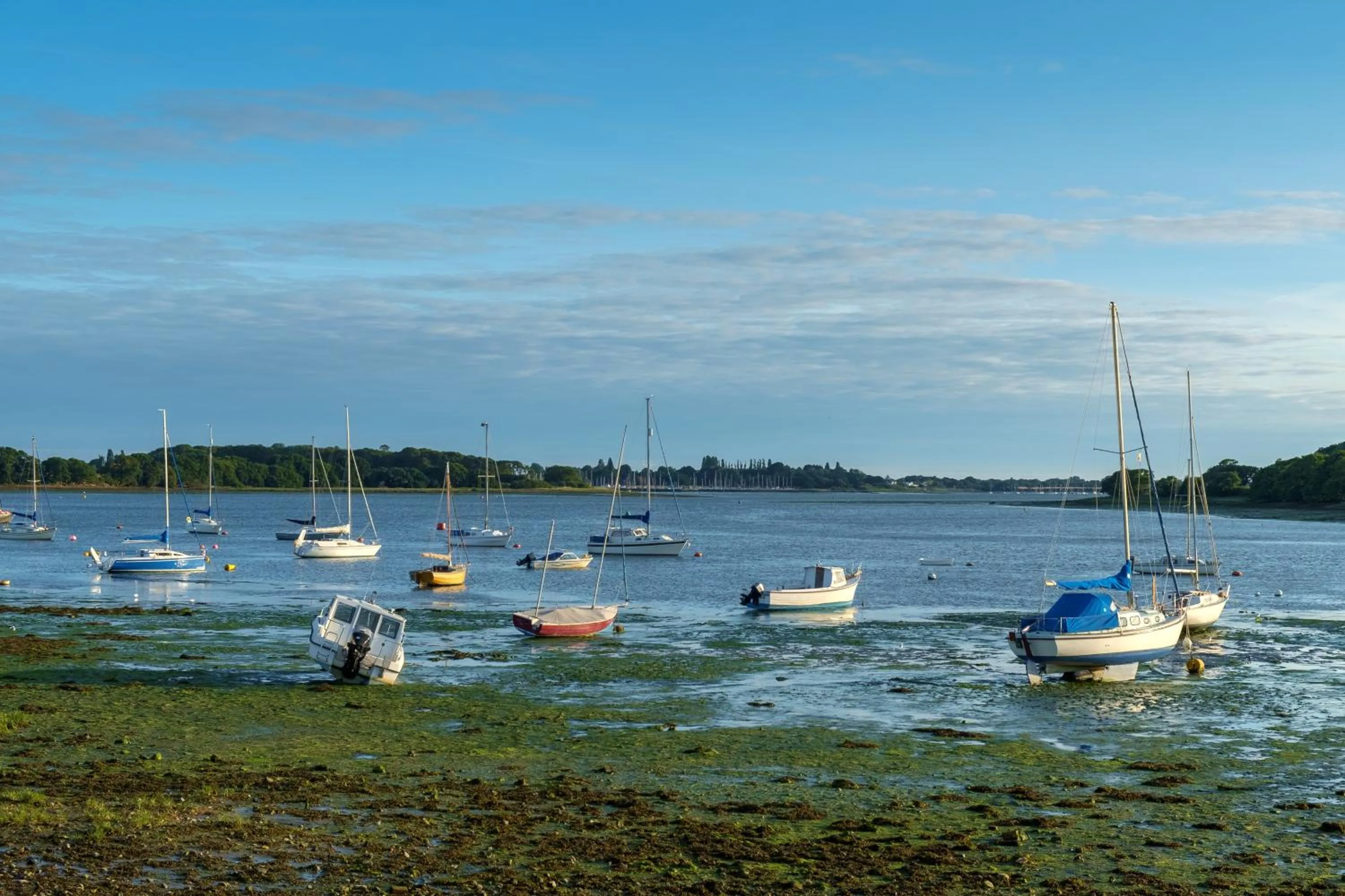 Natural landscape in South Street Apartments