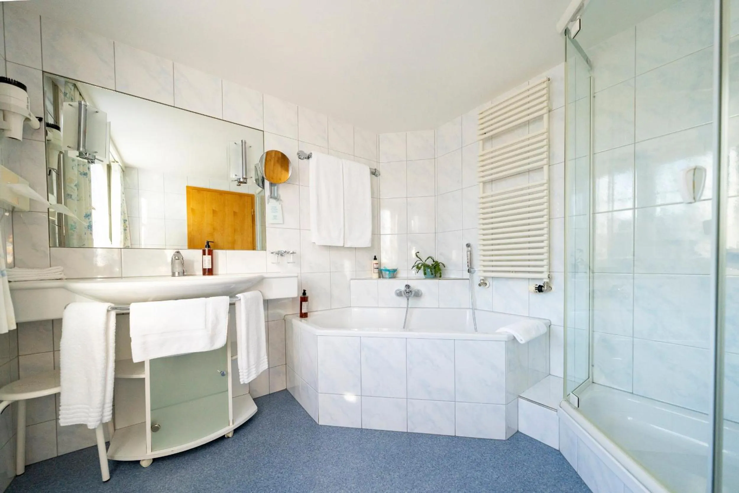 Shower in Hotel Säntis