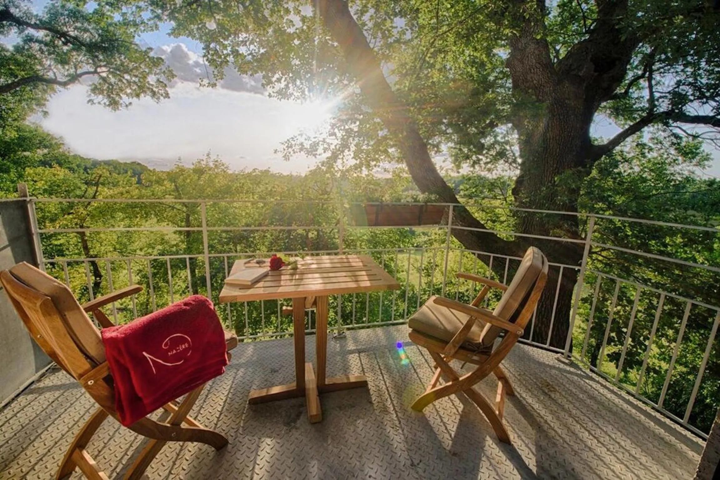 Balcony/Terrace in Chambres d'hôtes Domaine de Nazère
