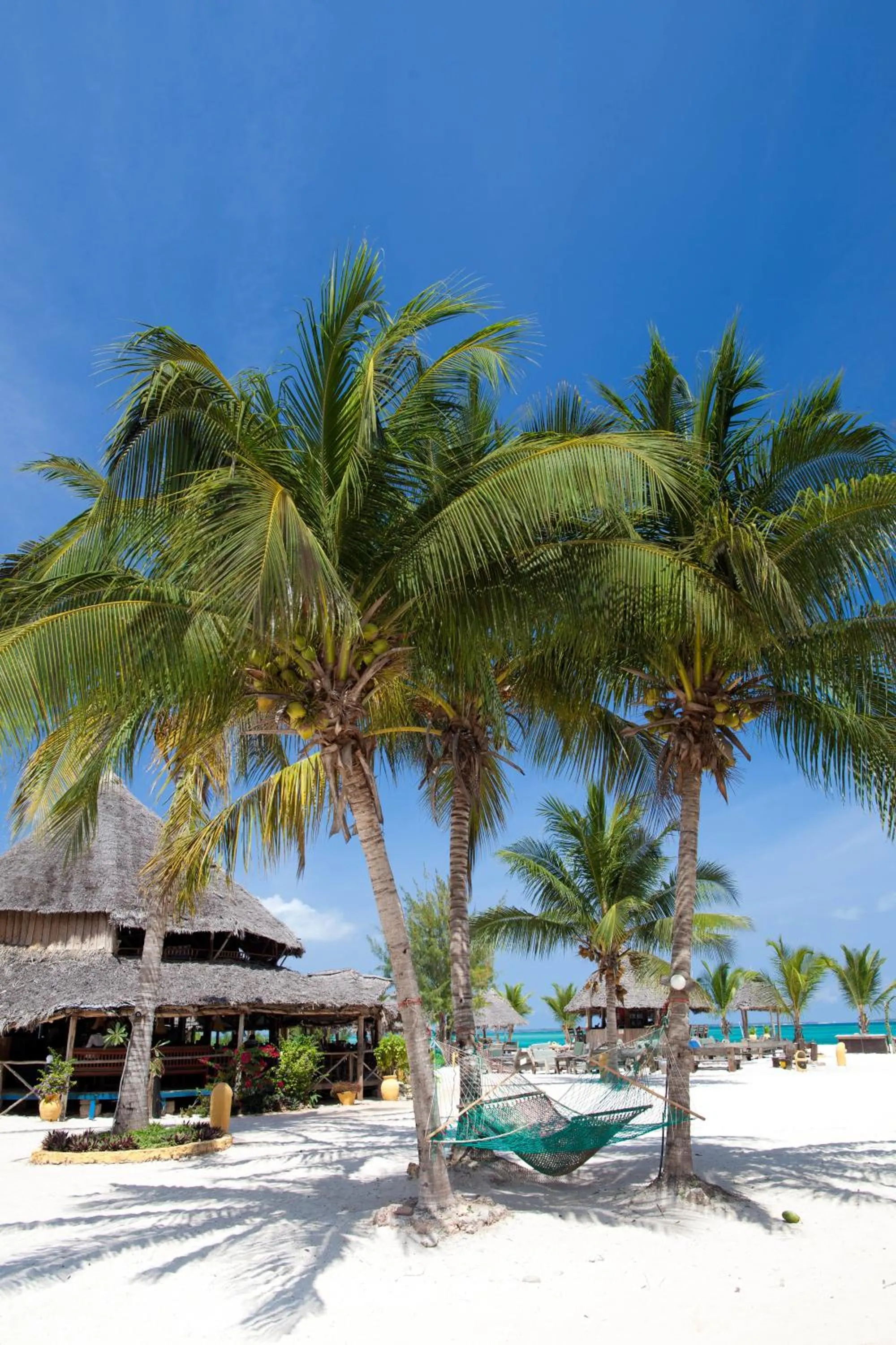 Beach in Kendwa Rocks Hotel