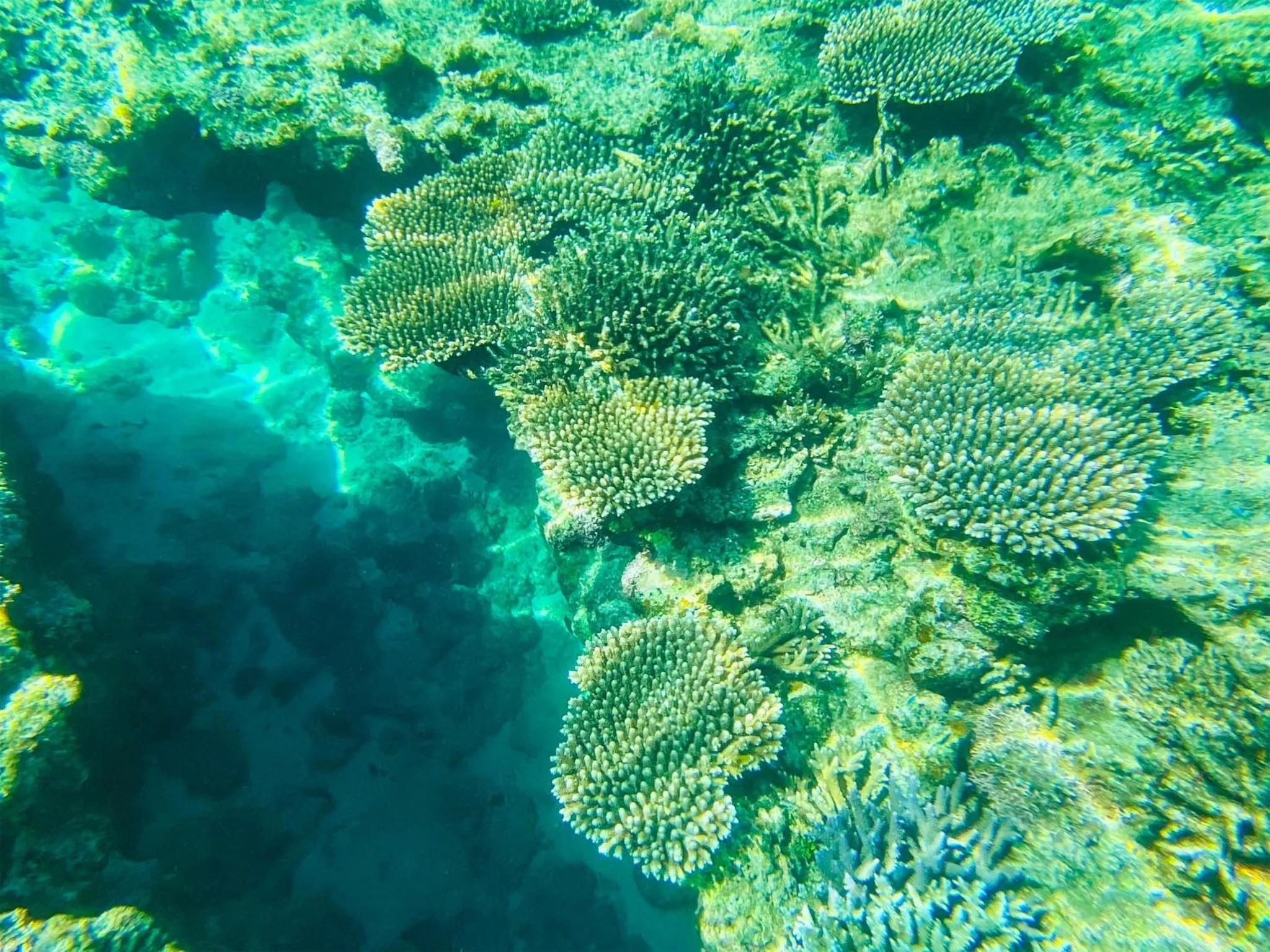 Yonehara Beach Stay LUANA - Vacation STAY 39096v