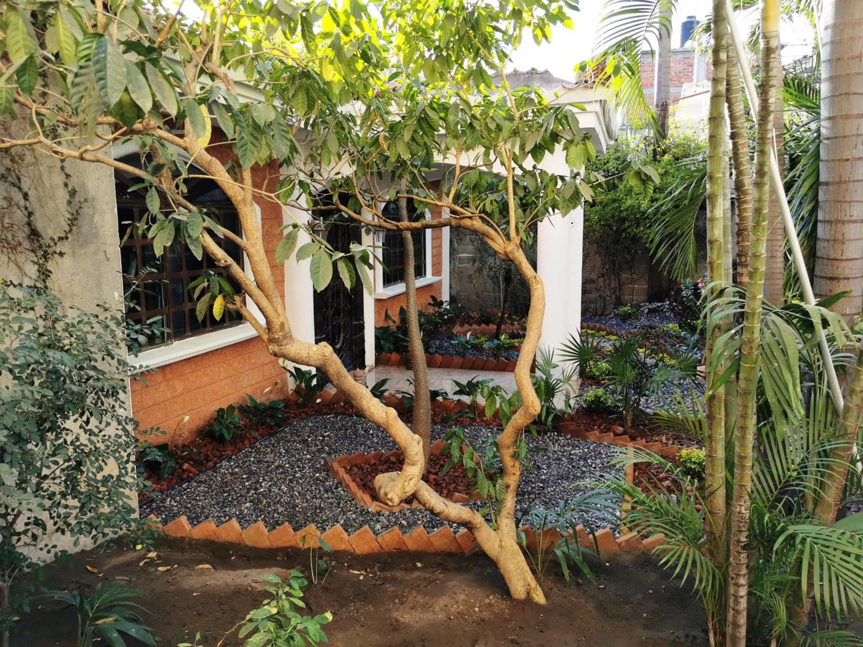 Garden in Ashly Boulevard