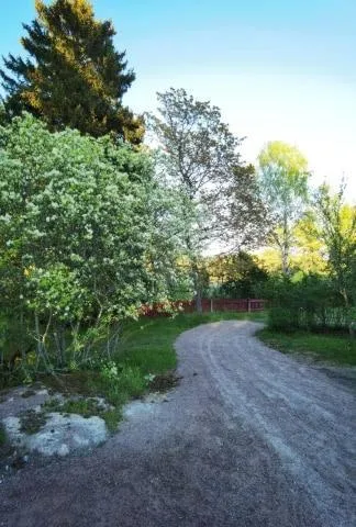 Garden in Villa Vintage B&B