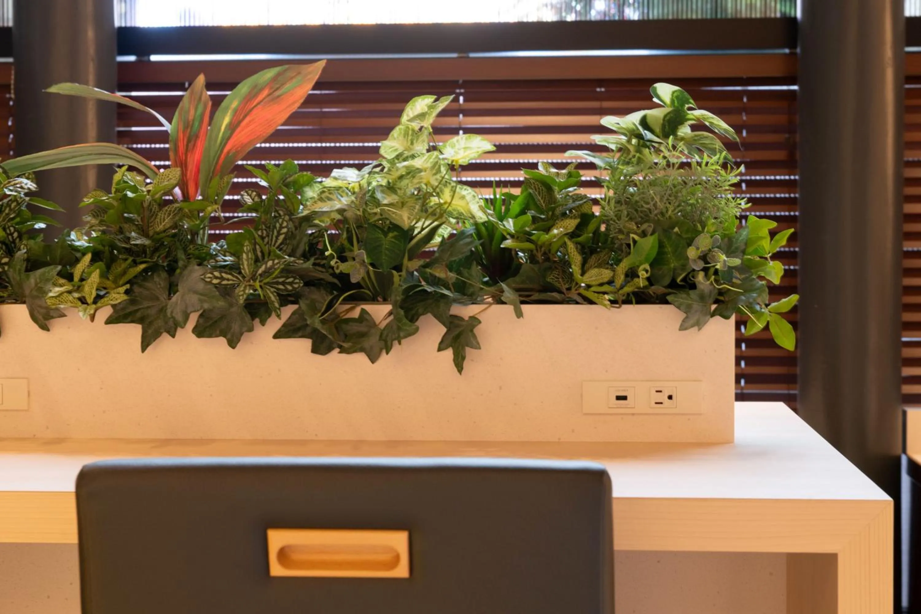 Restaurant/places to eat in Richmond Hotel Kagoshima Tenmonkan