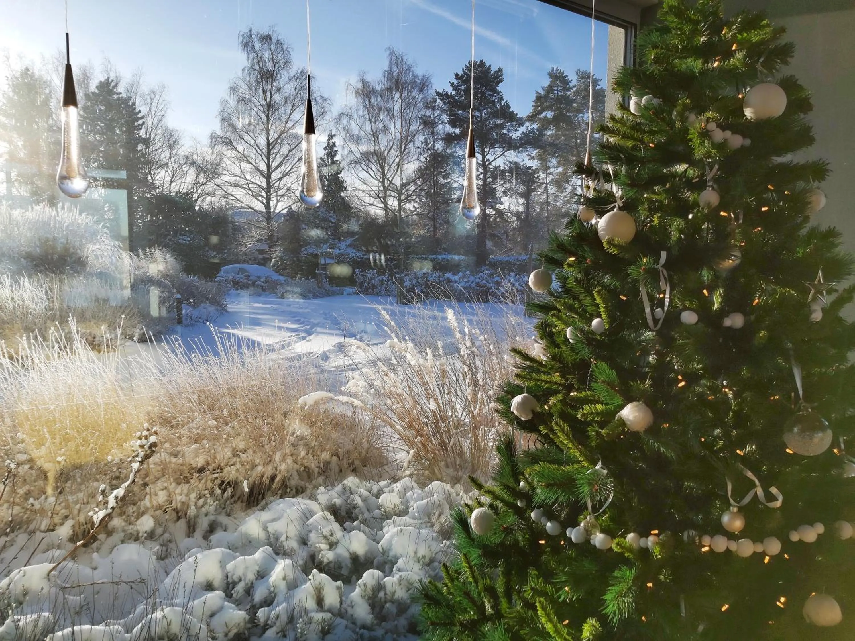 Winter in B&B Entre Champs