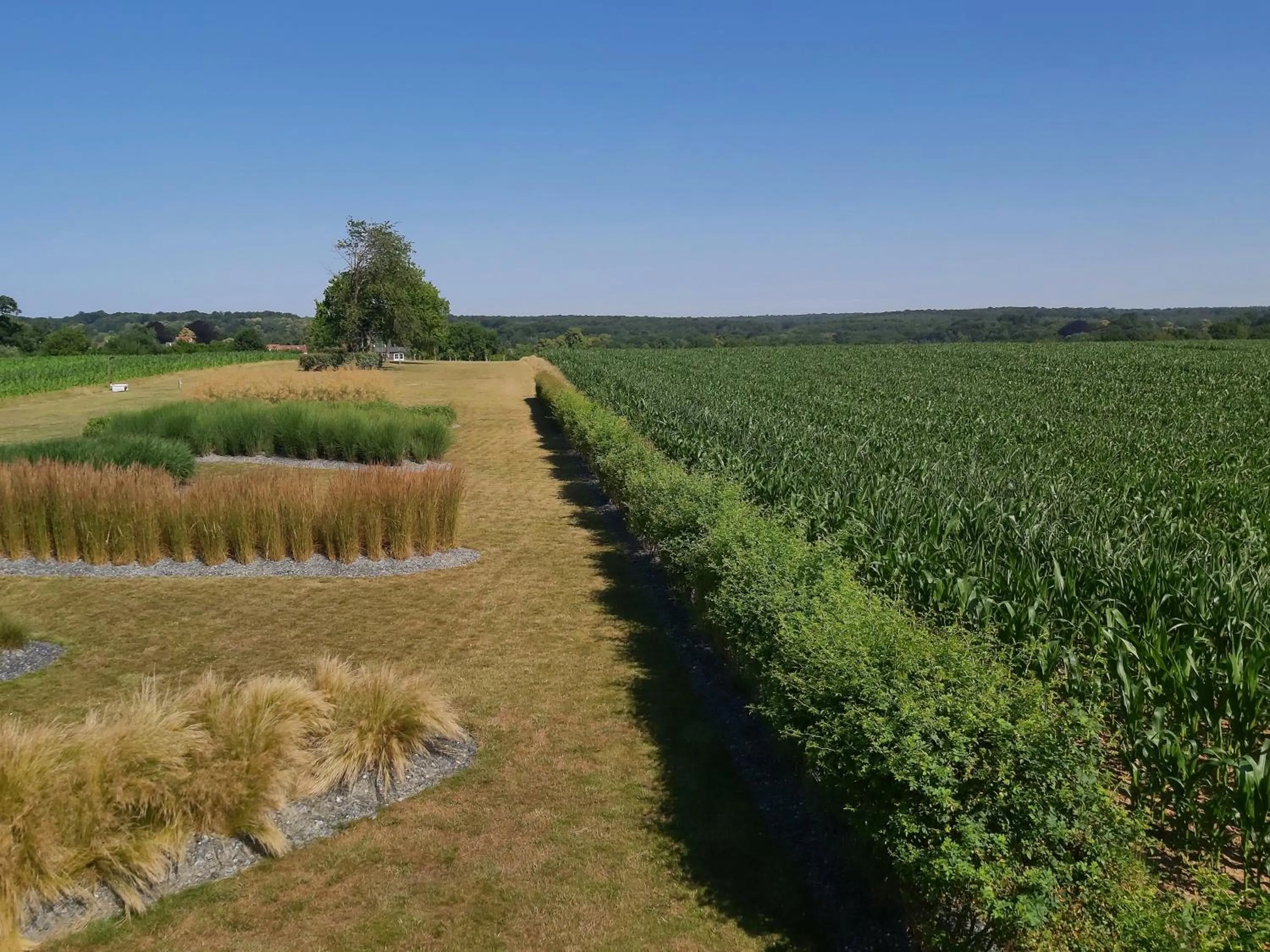 Day in B&B Entre Champs