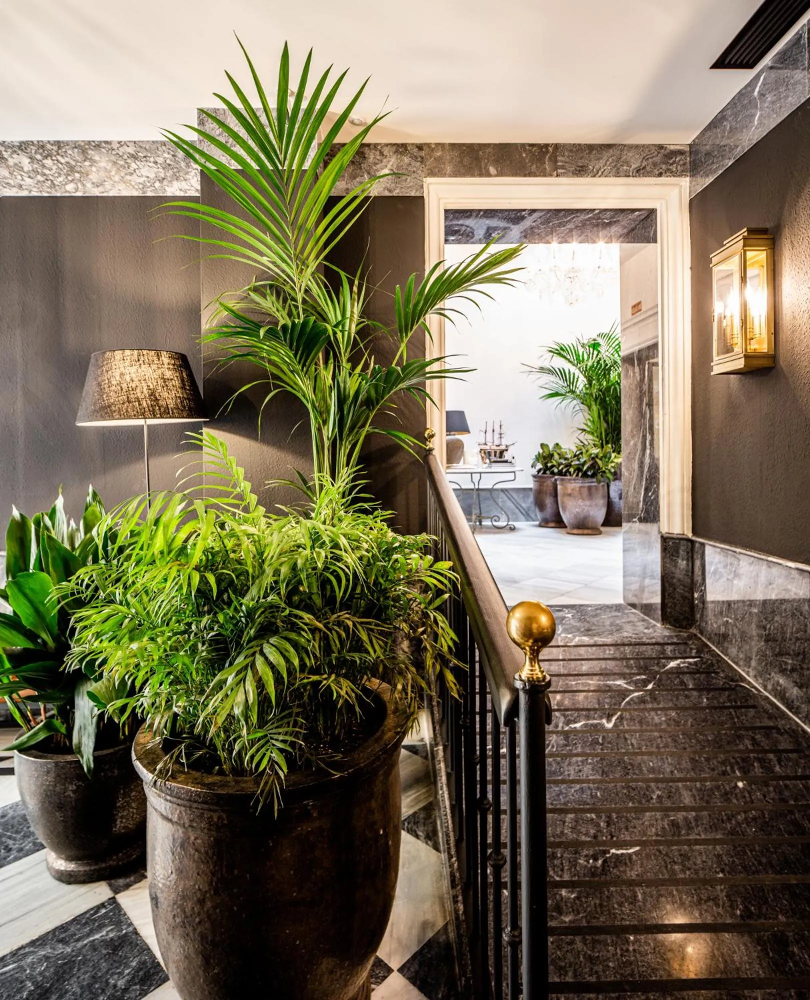 Area and facilities in Boutique Hotel Casa Cánovas