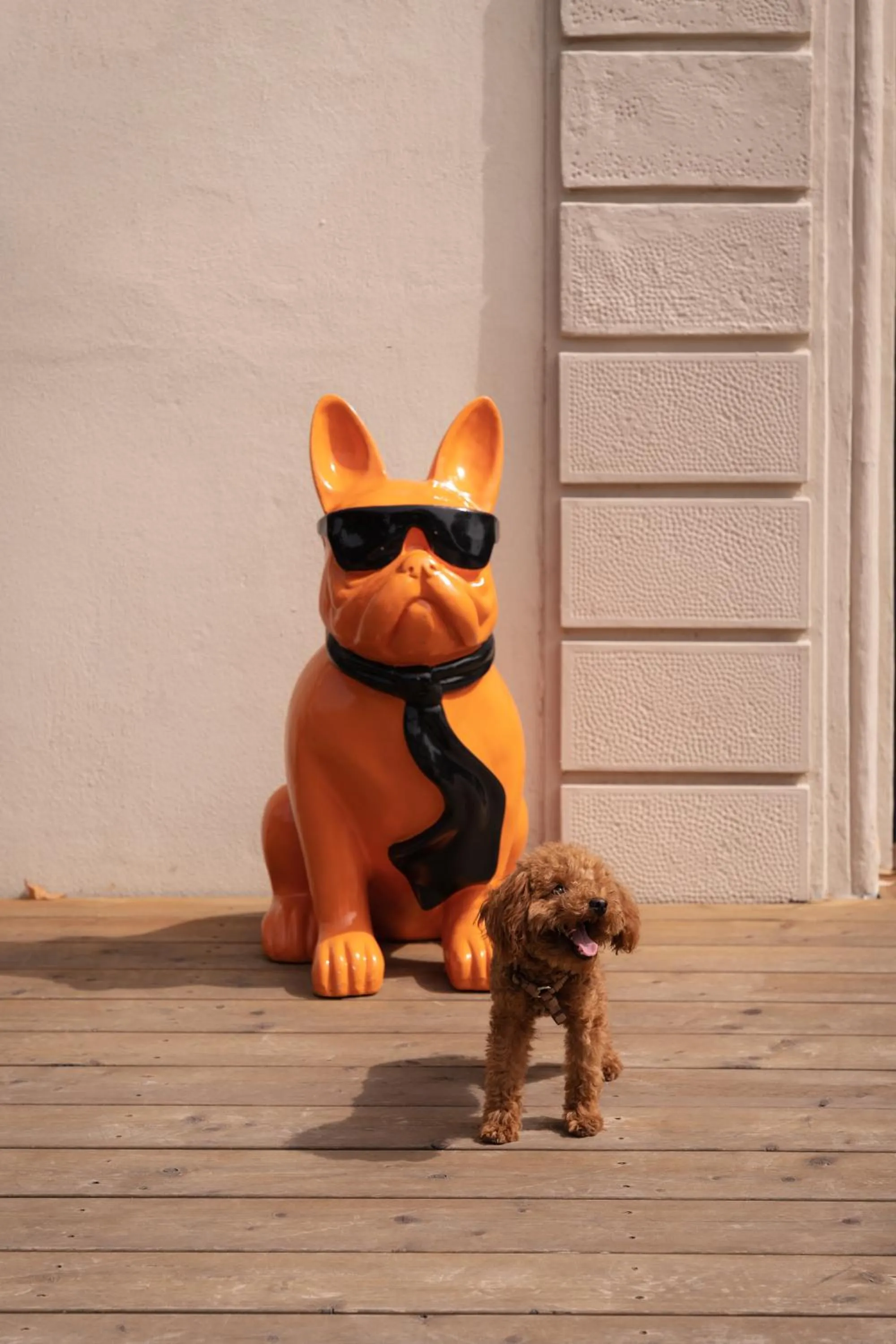 Pets in Re Versiliana Hotel