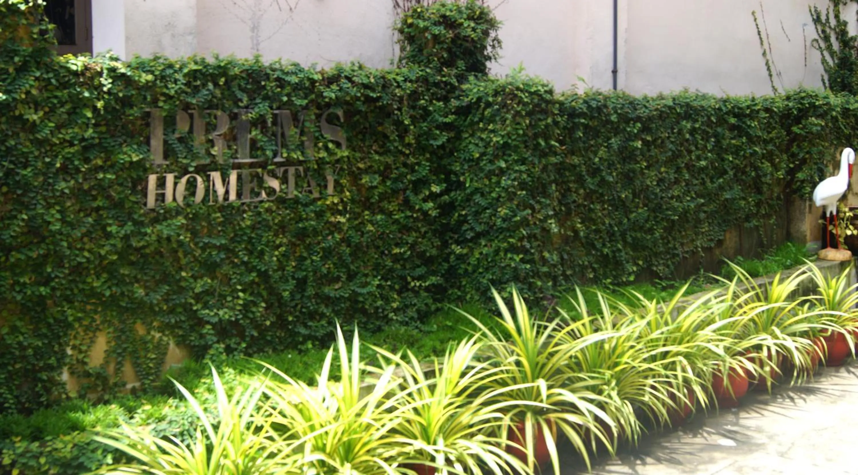 Garden view in Prems Homestay