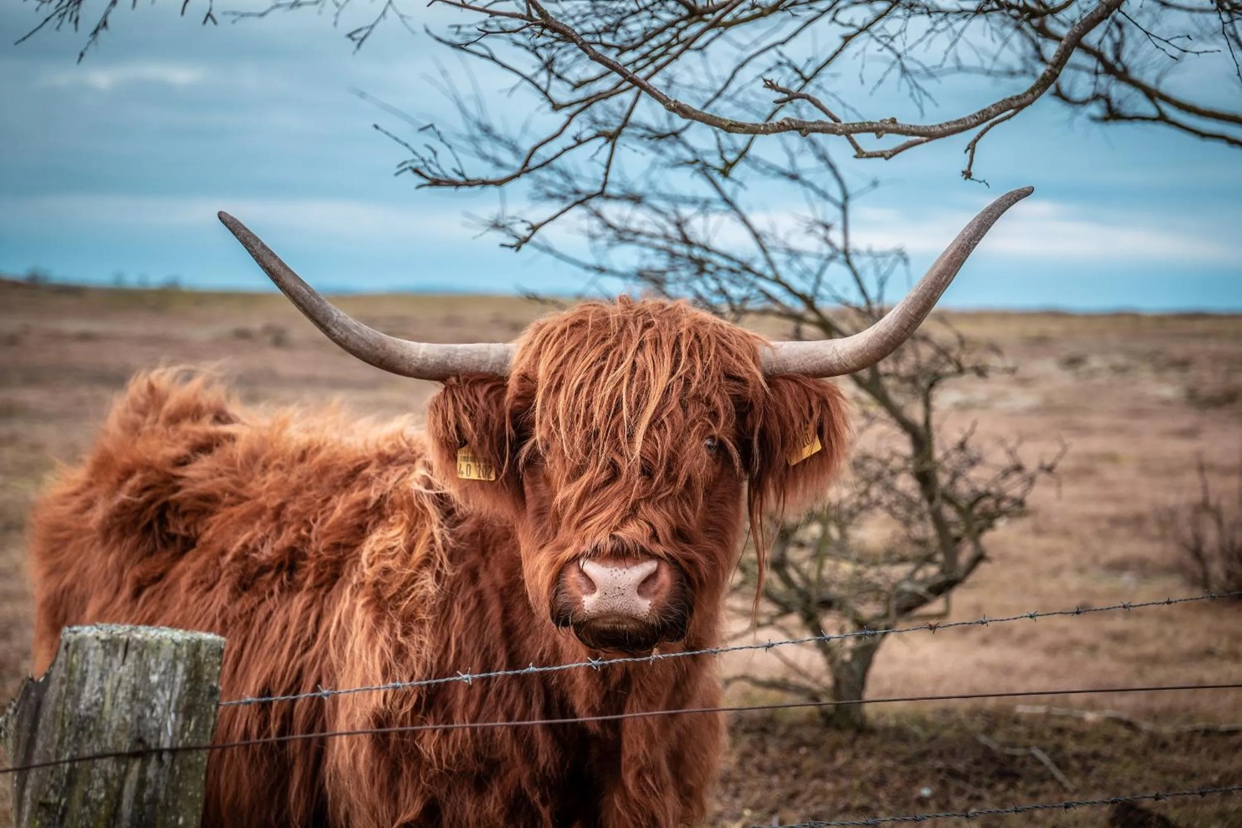 Property building in Strandhotel an der Ostsee
