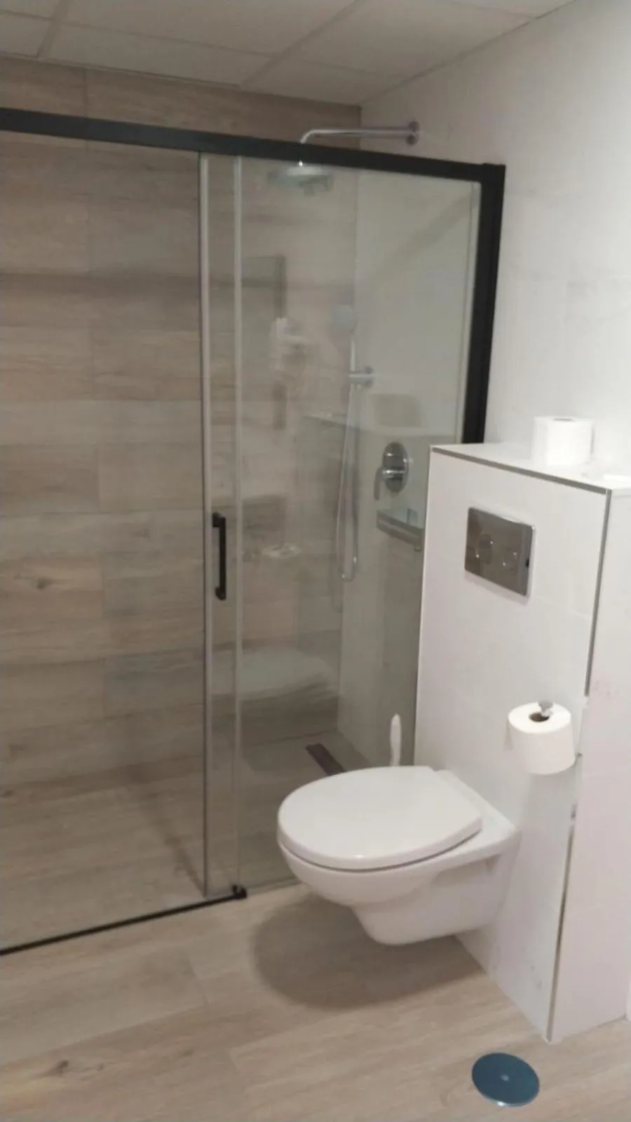 Toilet in Apartamentos Boni