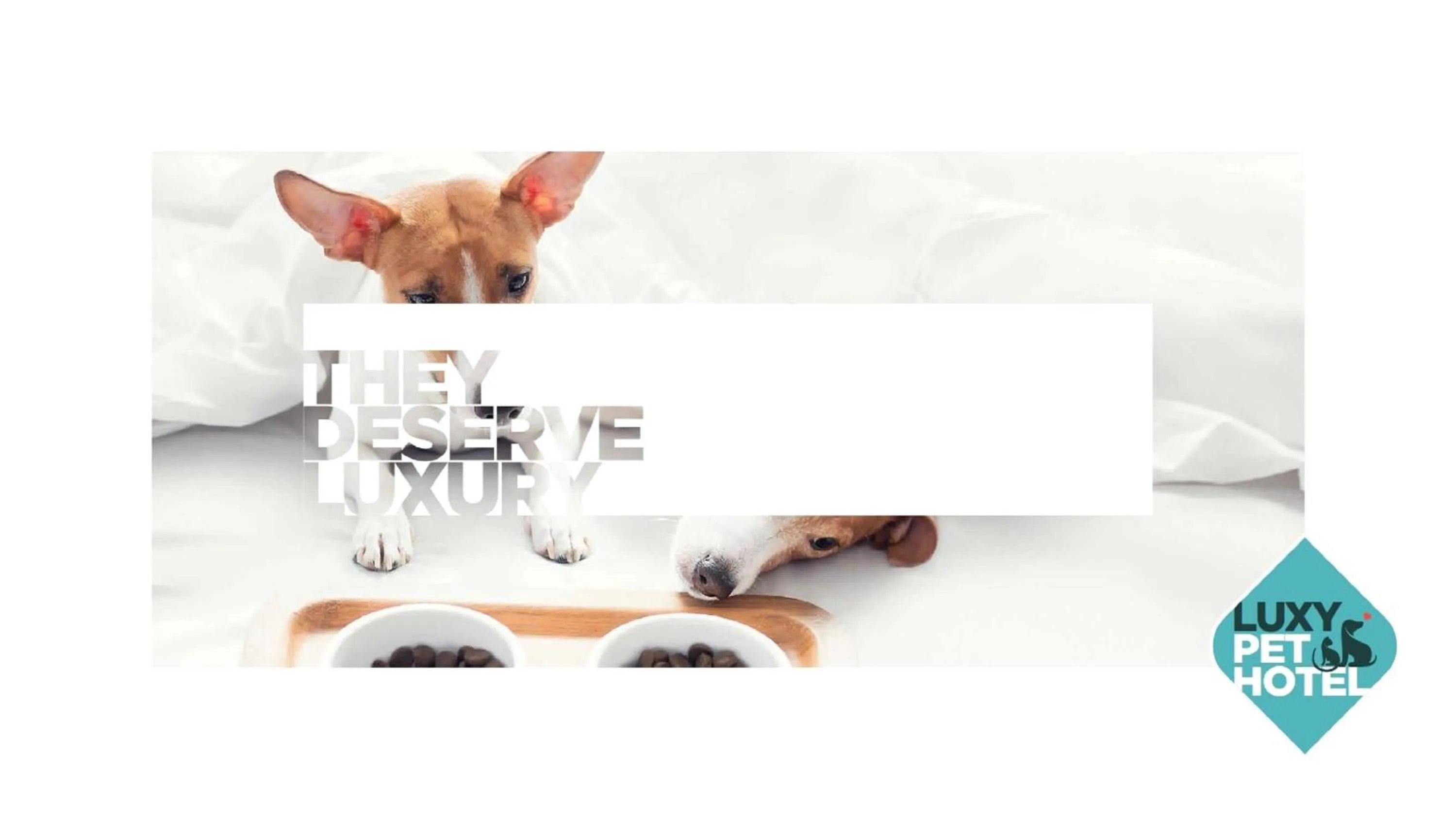 Pets in Nirvana Mediterranean Excellence - Ultra All Inclusive