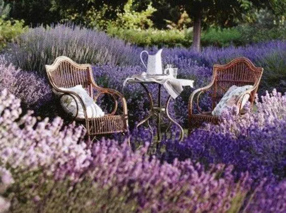 Maison Tara verte au Mas Montredon