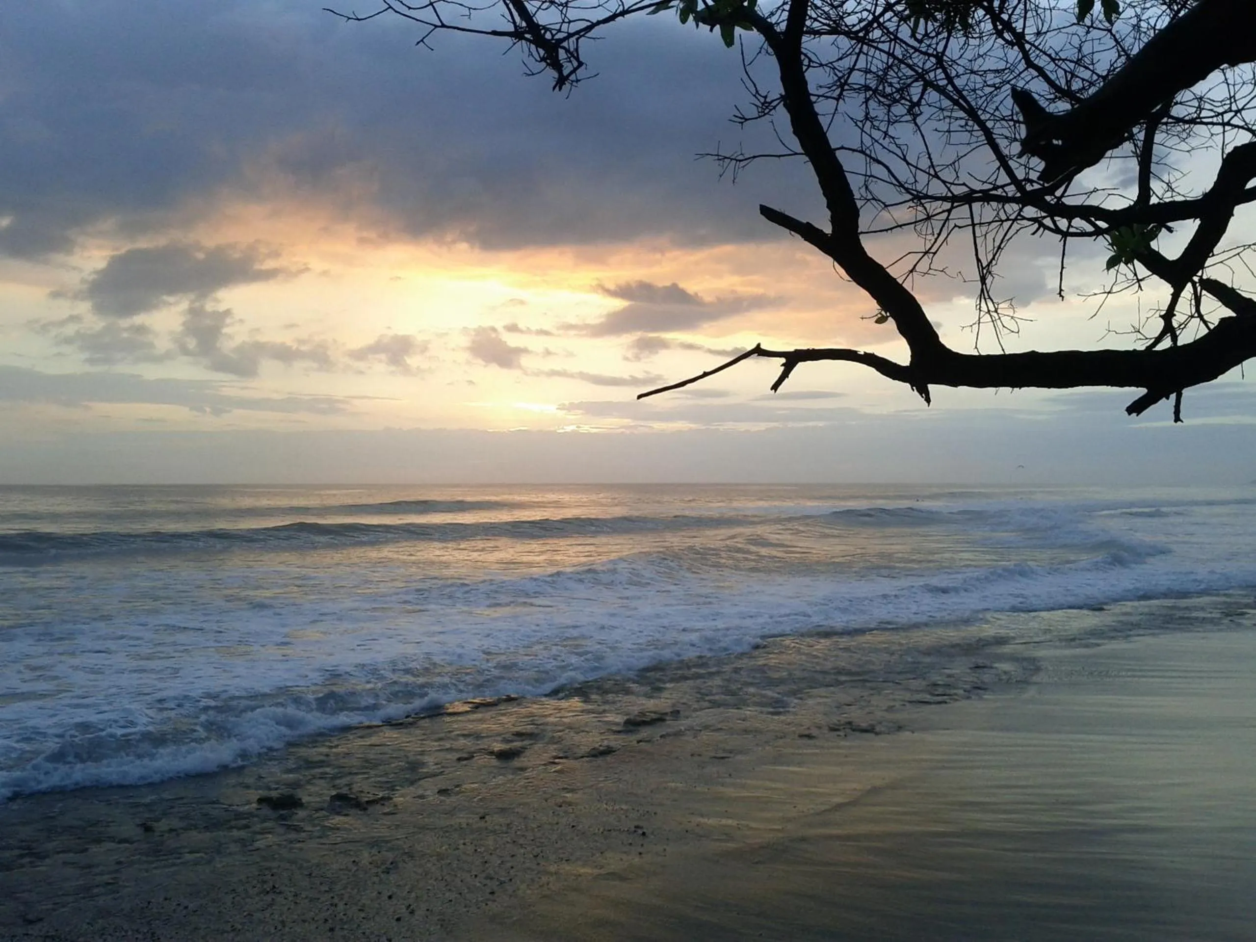 Area and facilities in Cabinas Las Olas