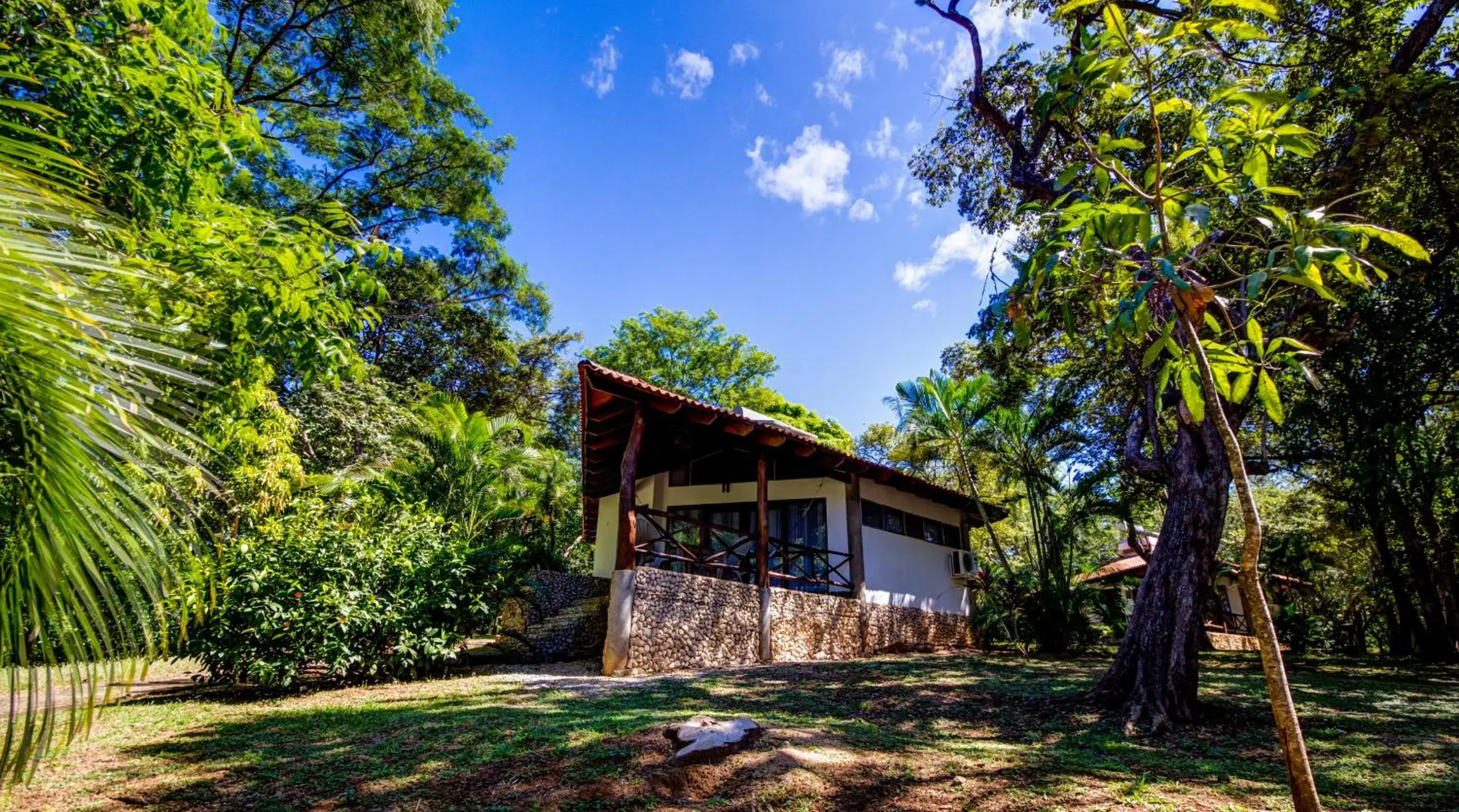 Basic Cottage without A/C - single occupancy in Cabinas Las Olas Basic Cottage without A/C - single occupancy in Cabinas Las Olas