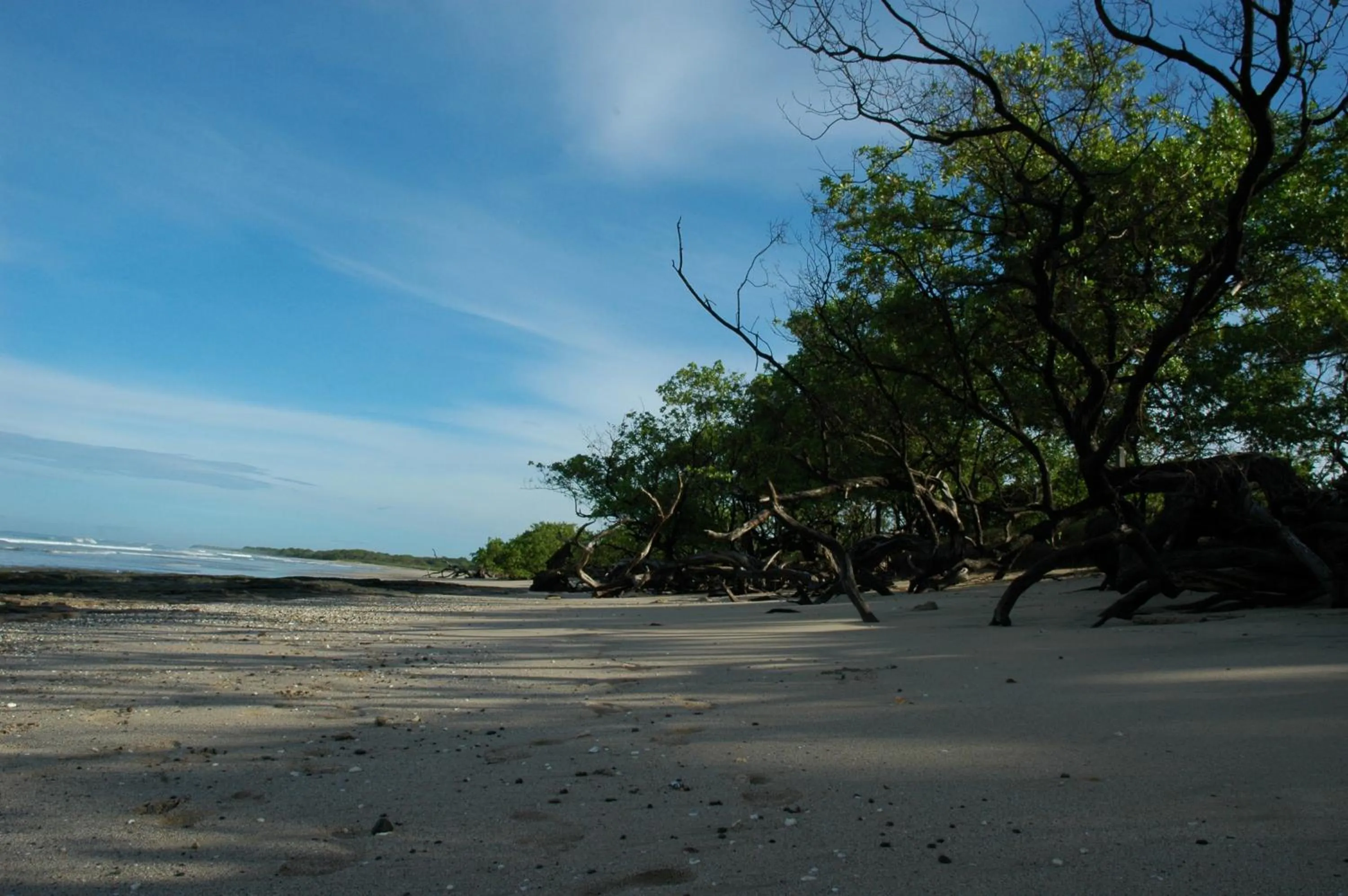 Natural landscape in Cabinas Las Olas