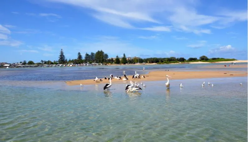 Beach in Bay House Motel