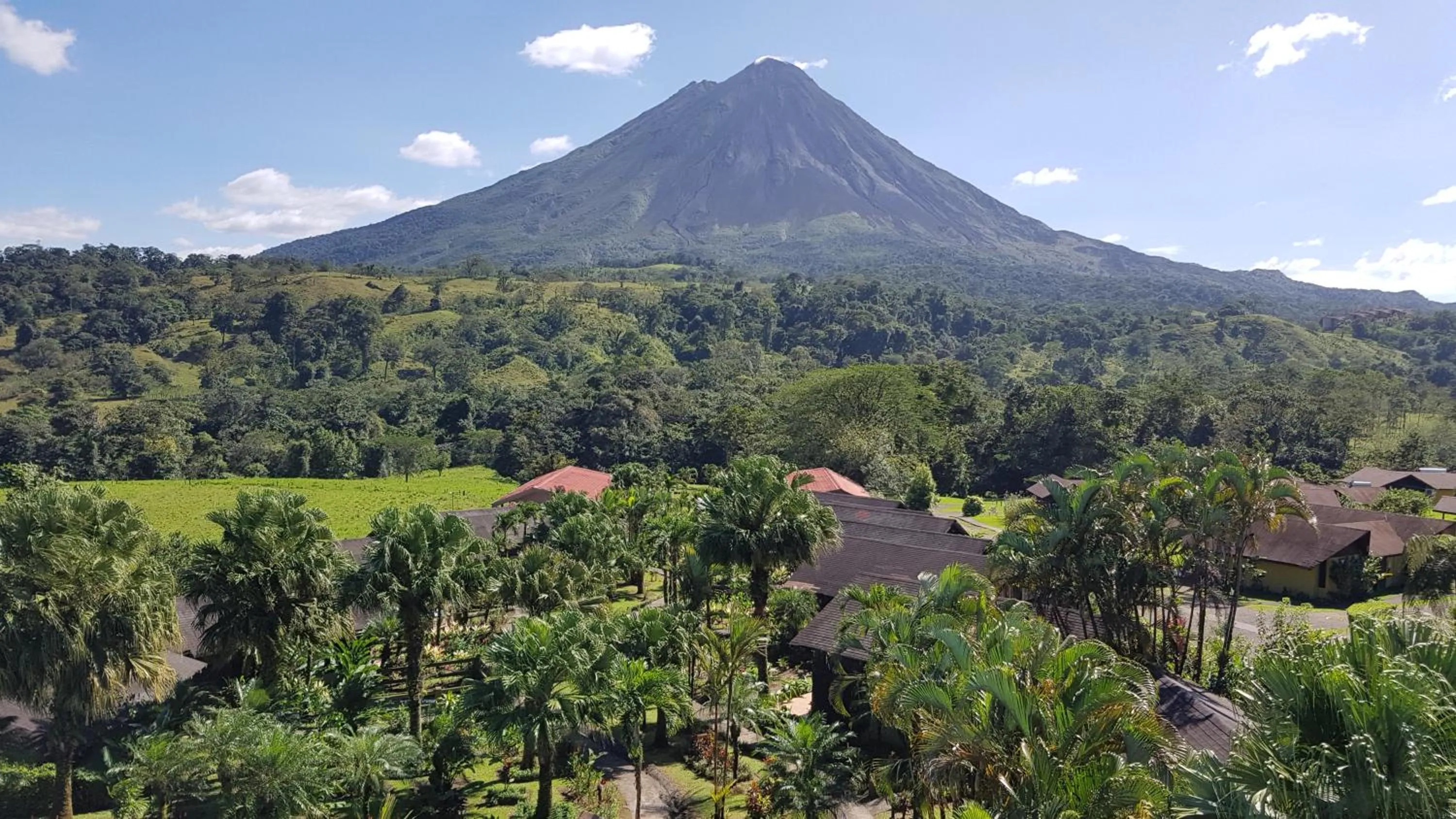 Natural landscape in Hotel Lavas Tacotal