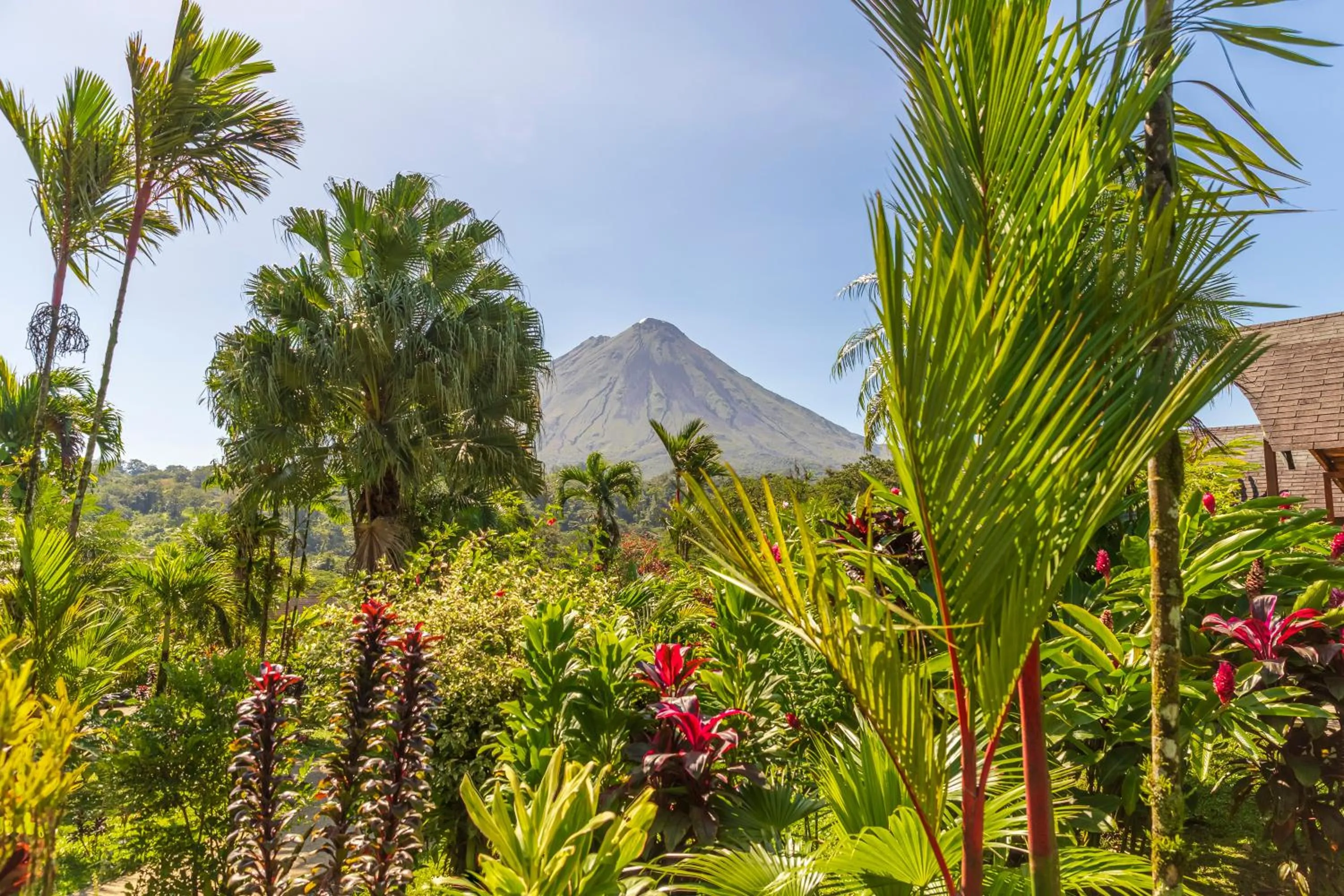 Garden view in Hotel Lavas Tacotal