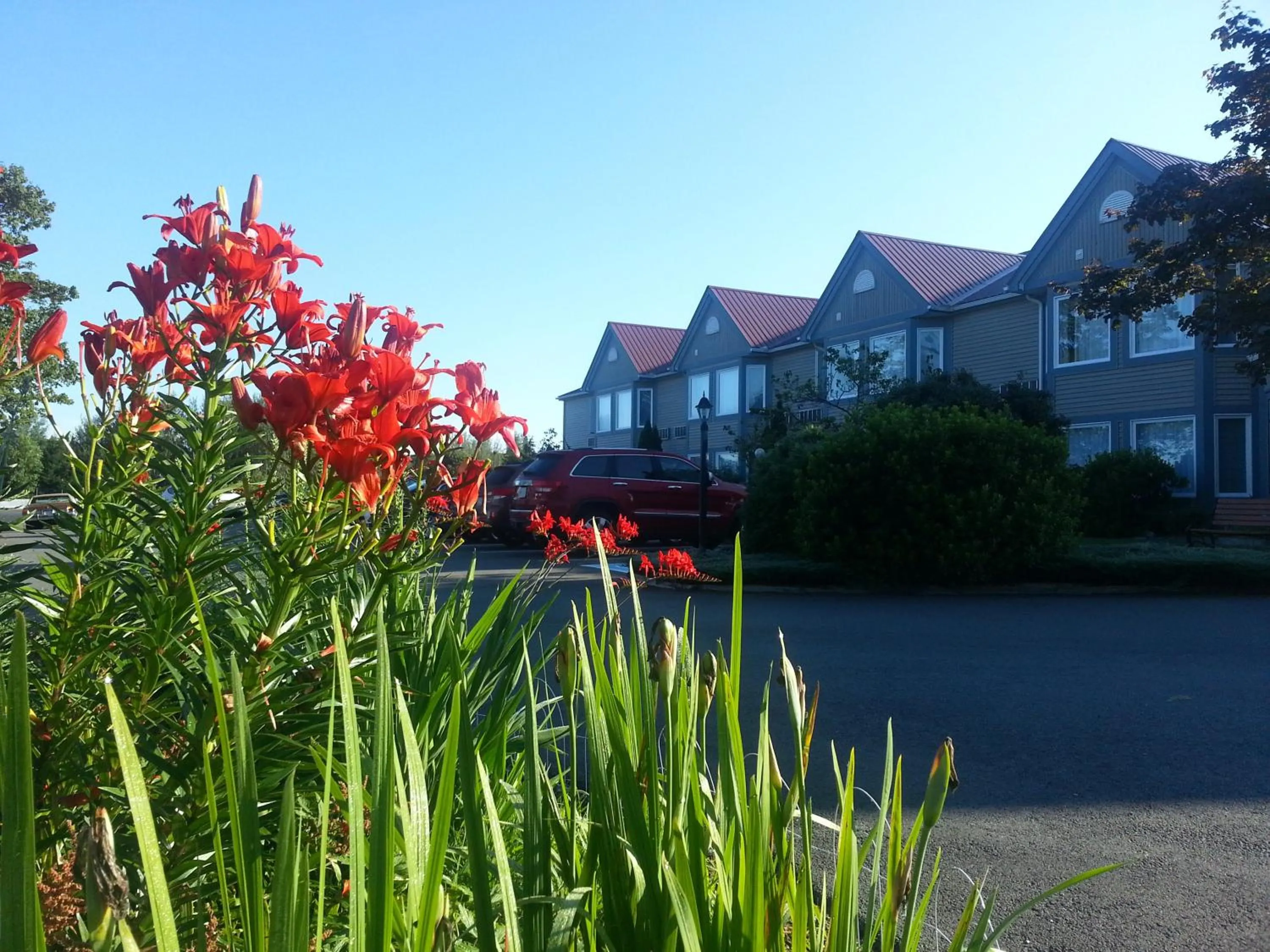 Garden in Granite Town Hotel