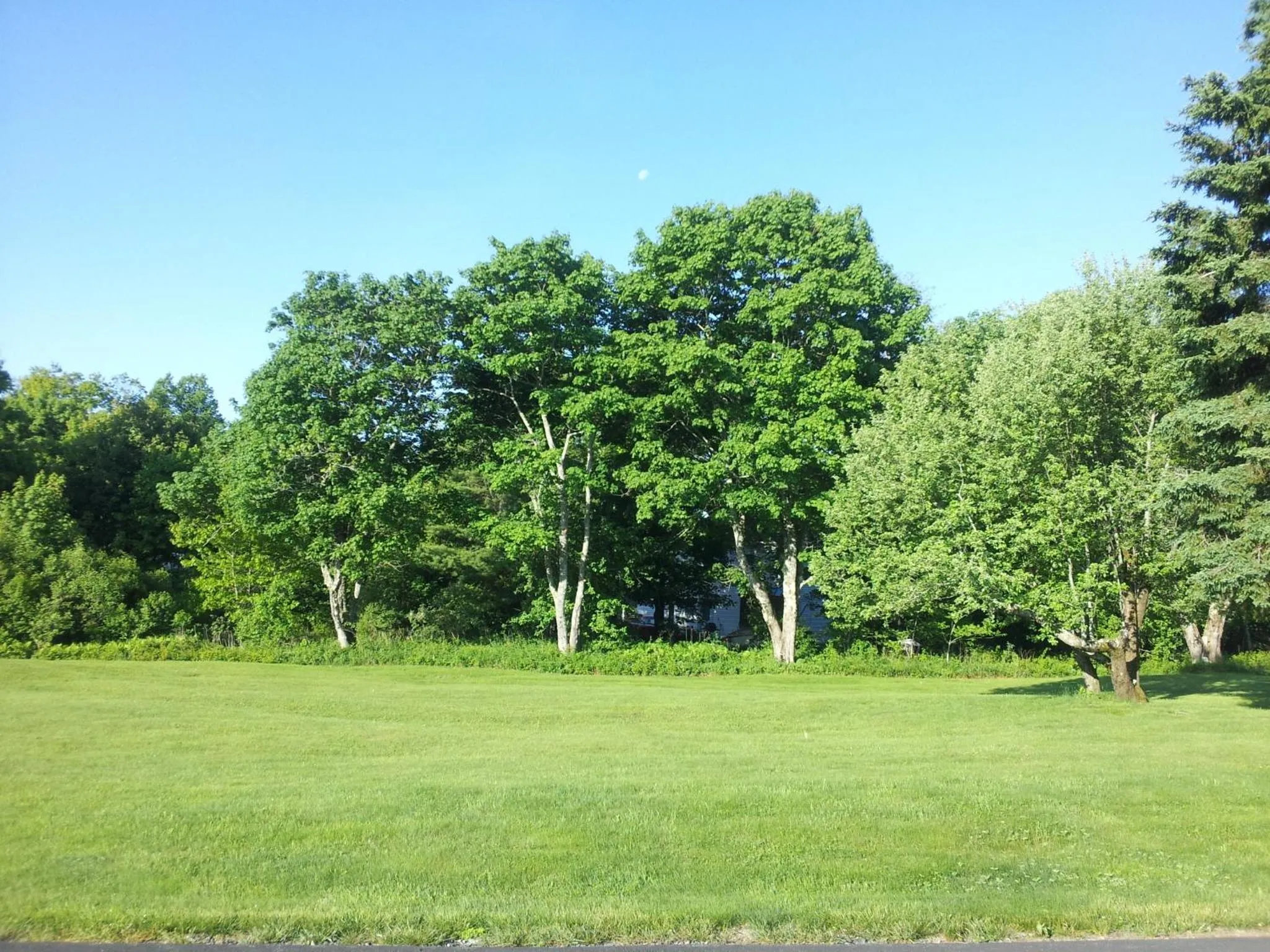 Area and facilities in Granite Town Hotel