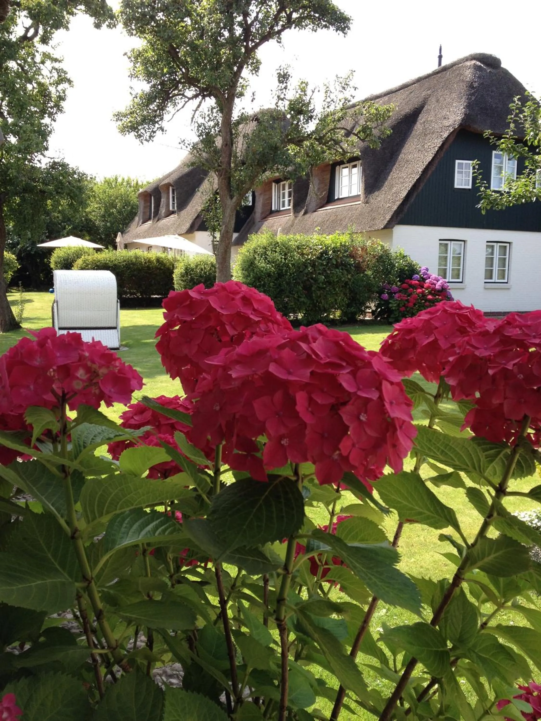 Garden in Rackmers Hof - Suiten Hotel garni mit Sauna