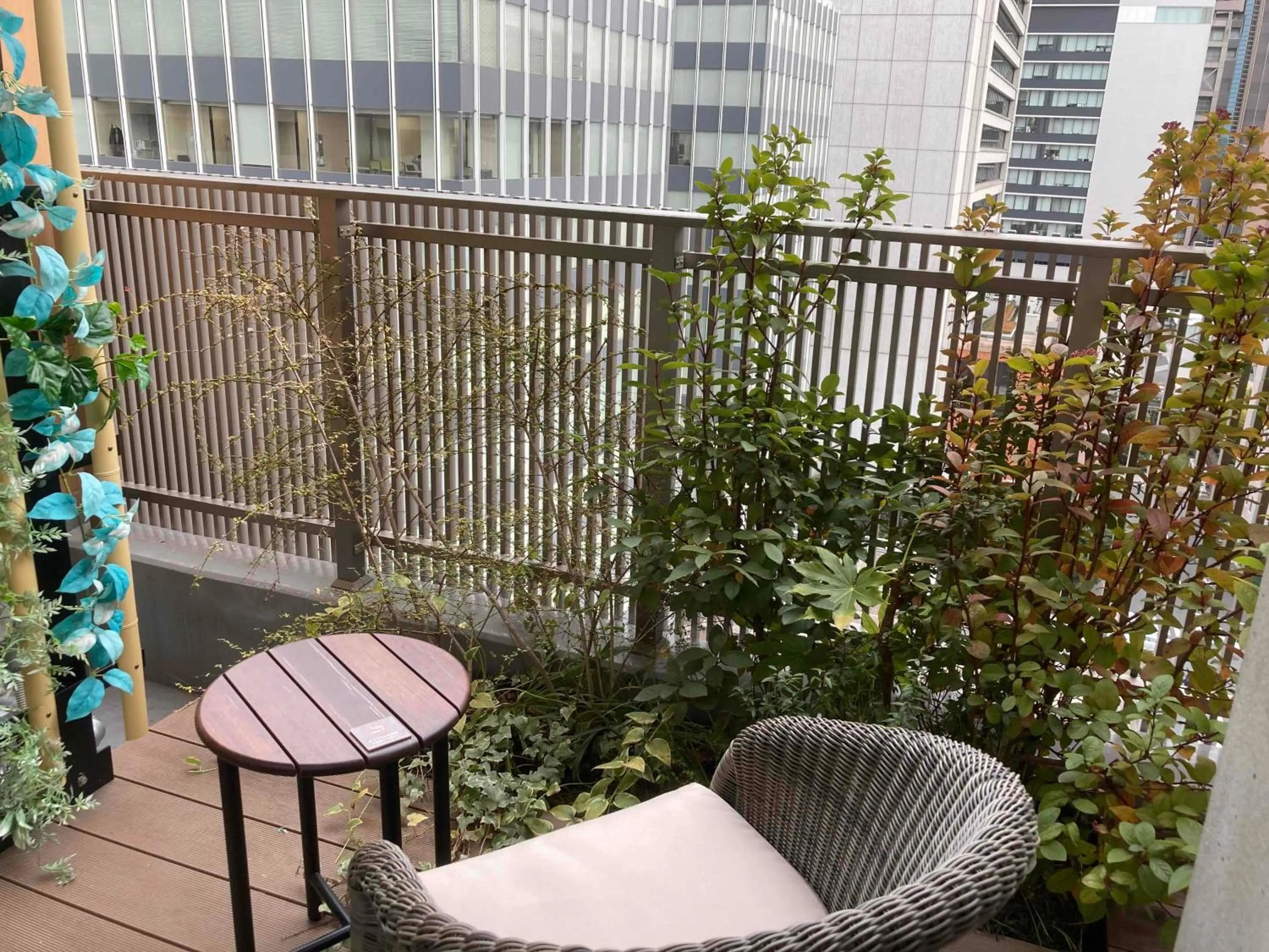 Garden in Dormy Inn Premium Ginza - Natural Hot Spring