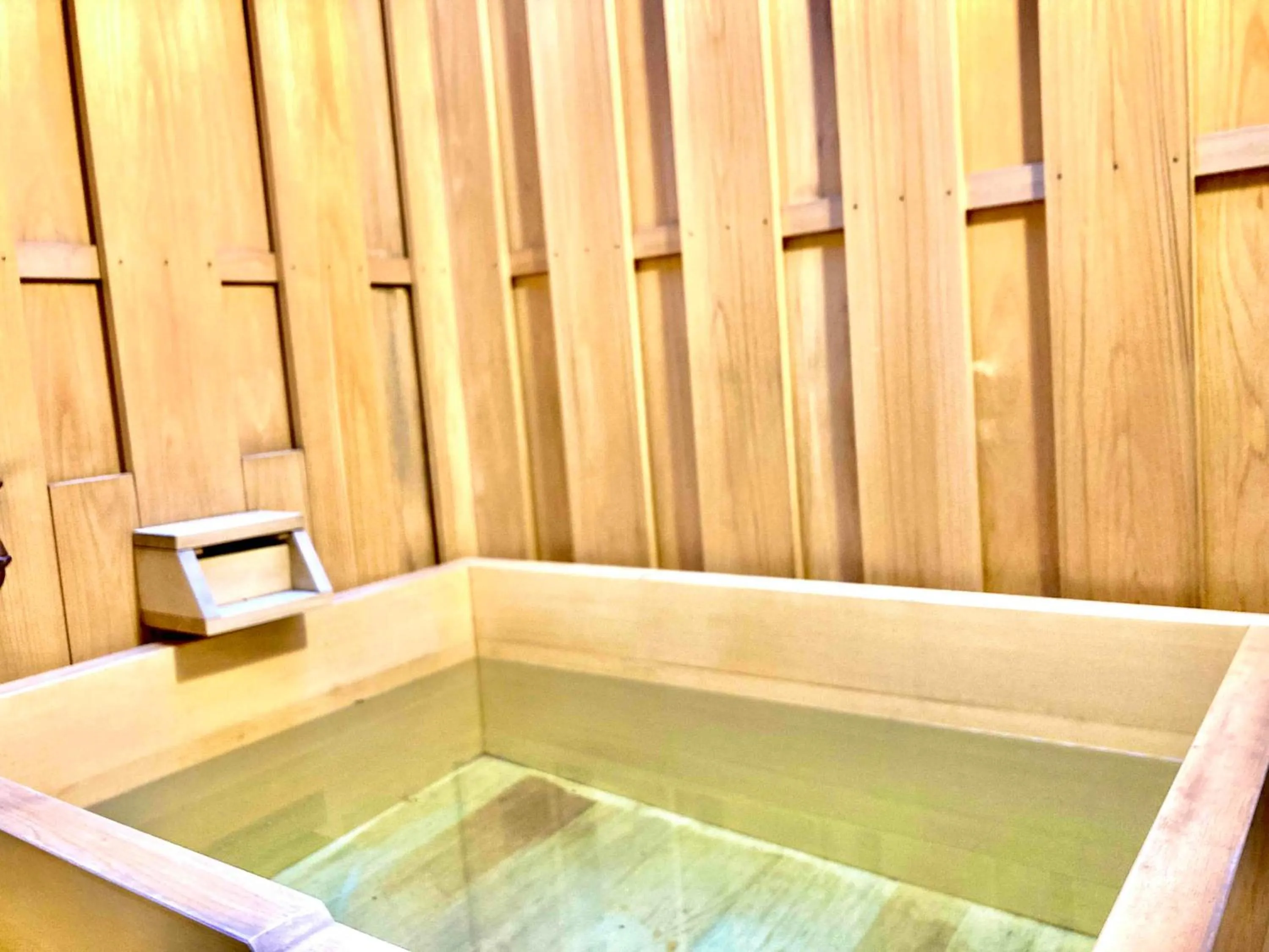 Hot Tub in Dormy Inn Premium Ginza - Natural Hot Spring