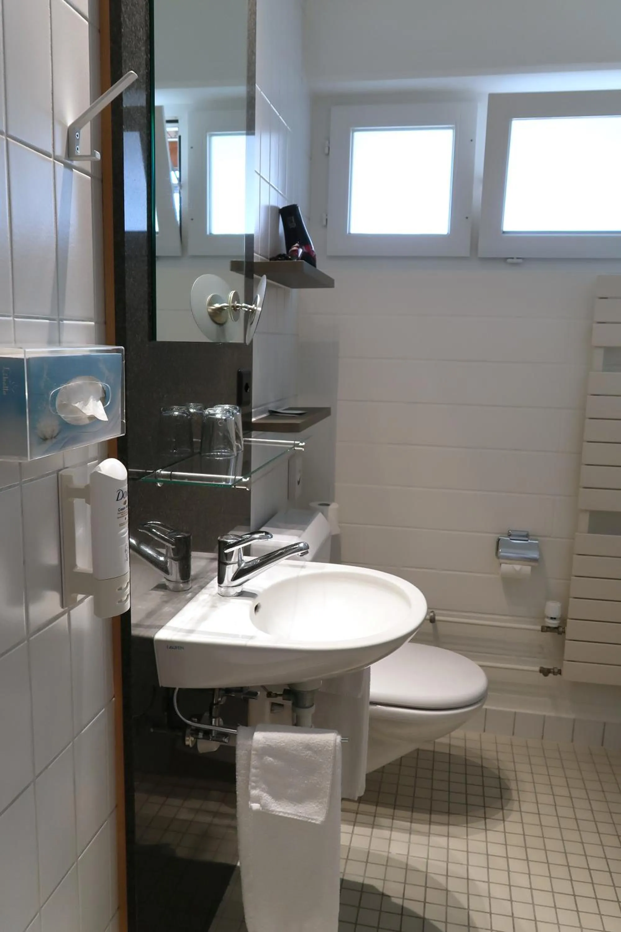 Toilet in Hotel Sempachersee