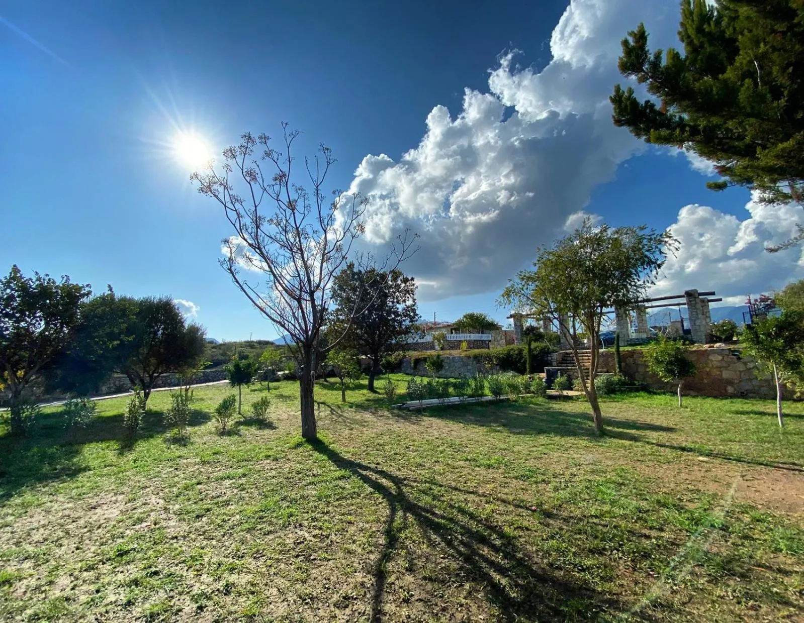 Natural landscape in Casa Di Datca