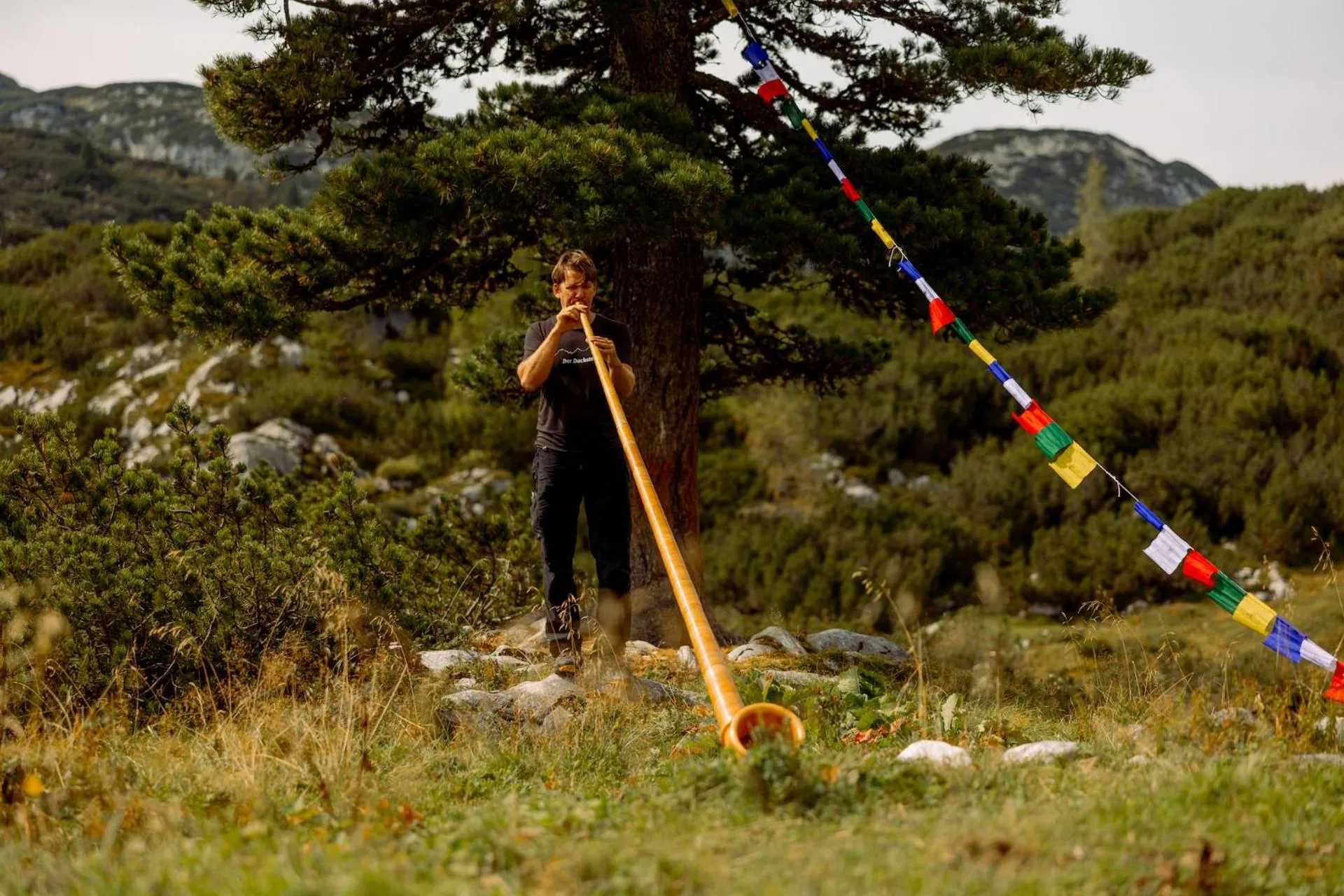 Gjaid-Alm 1739m am Dachstein-Only Accessible by Cable Car