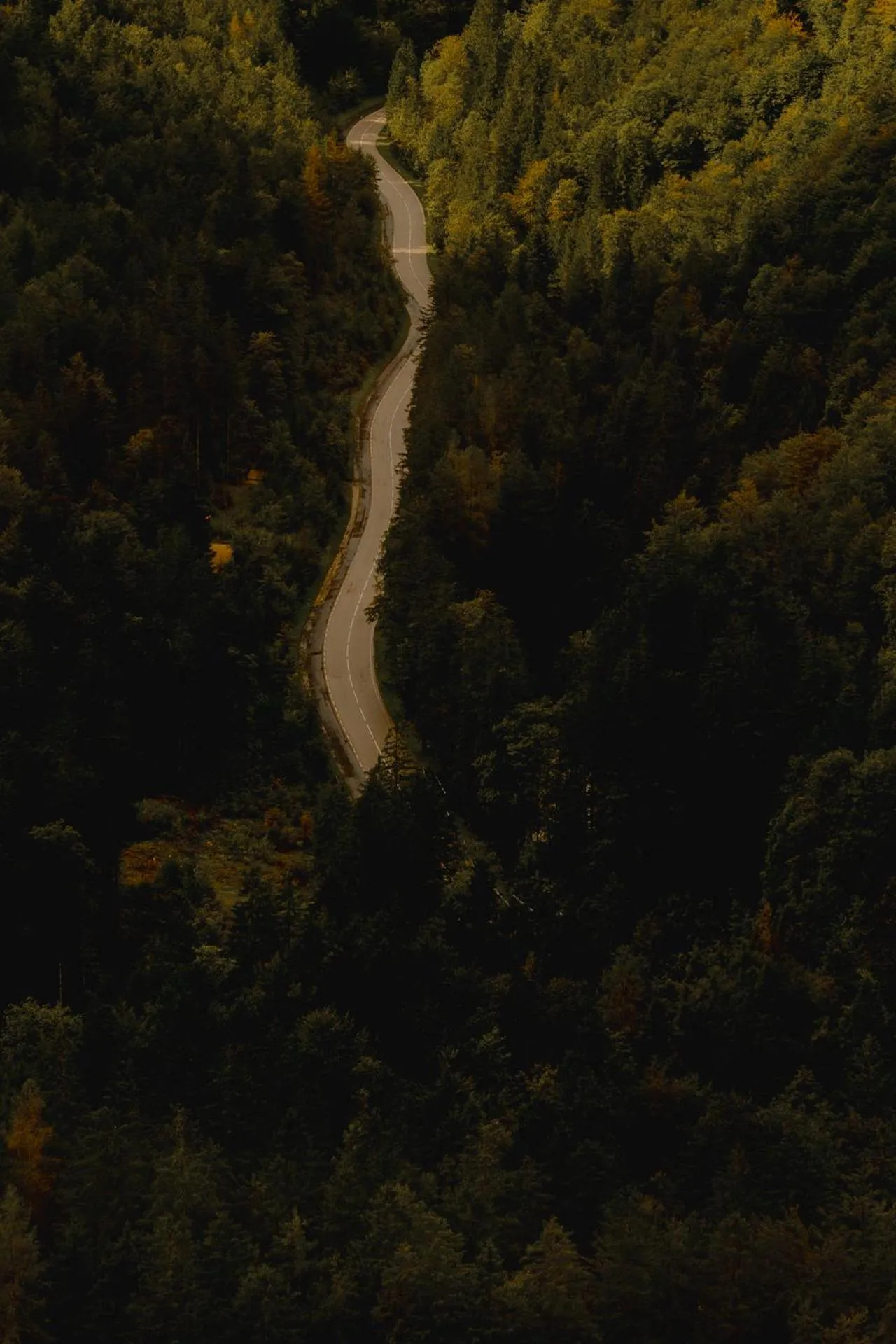 Gjaid-Alm 1739m am Dachstein-Only Accessible by Cable Car