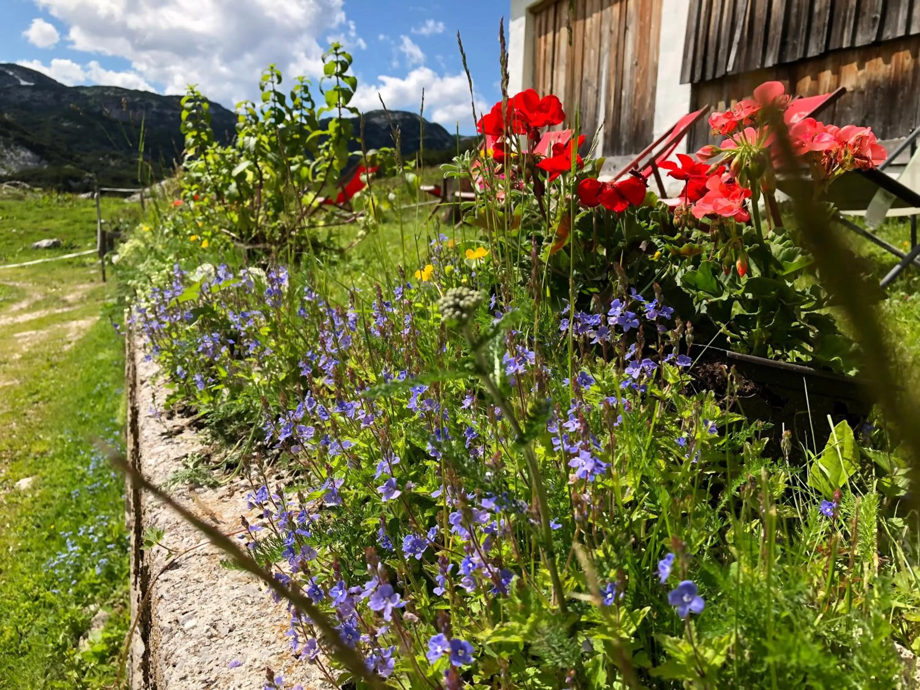 Property building in Gjaid-Alm 1739m am Dachstein-Only Accessible by Cable Car