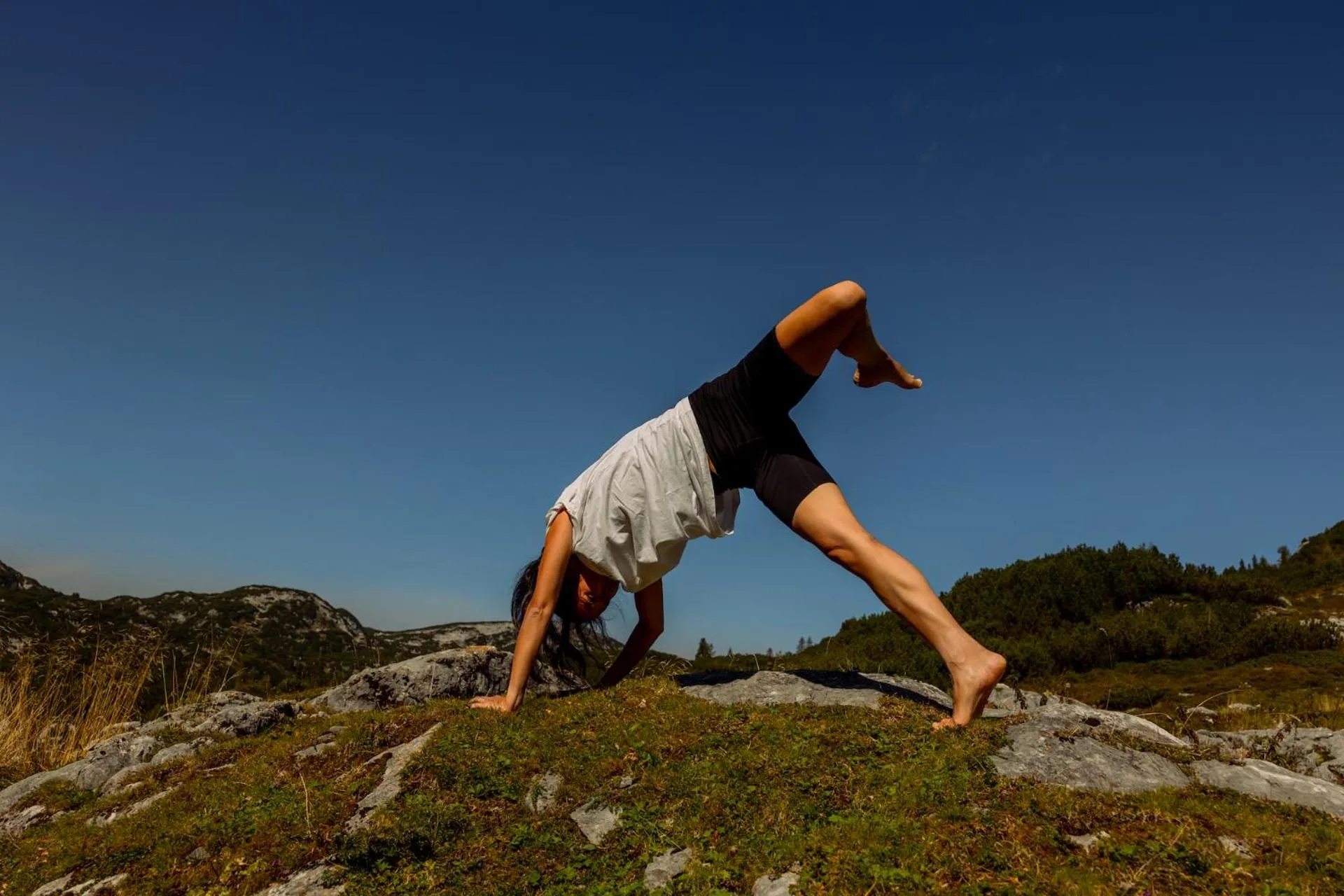 Gjaid-Alm 1739m am Dachstein-Only Accessible by Cable Car