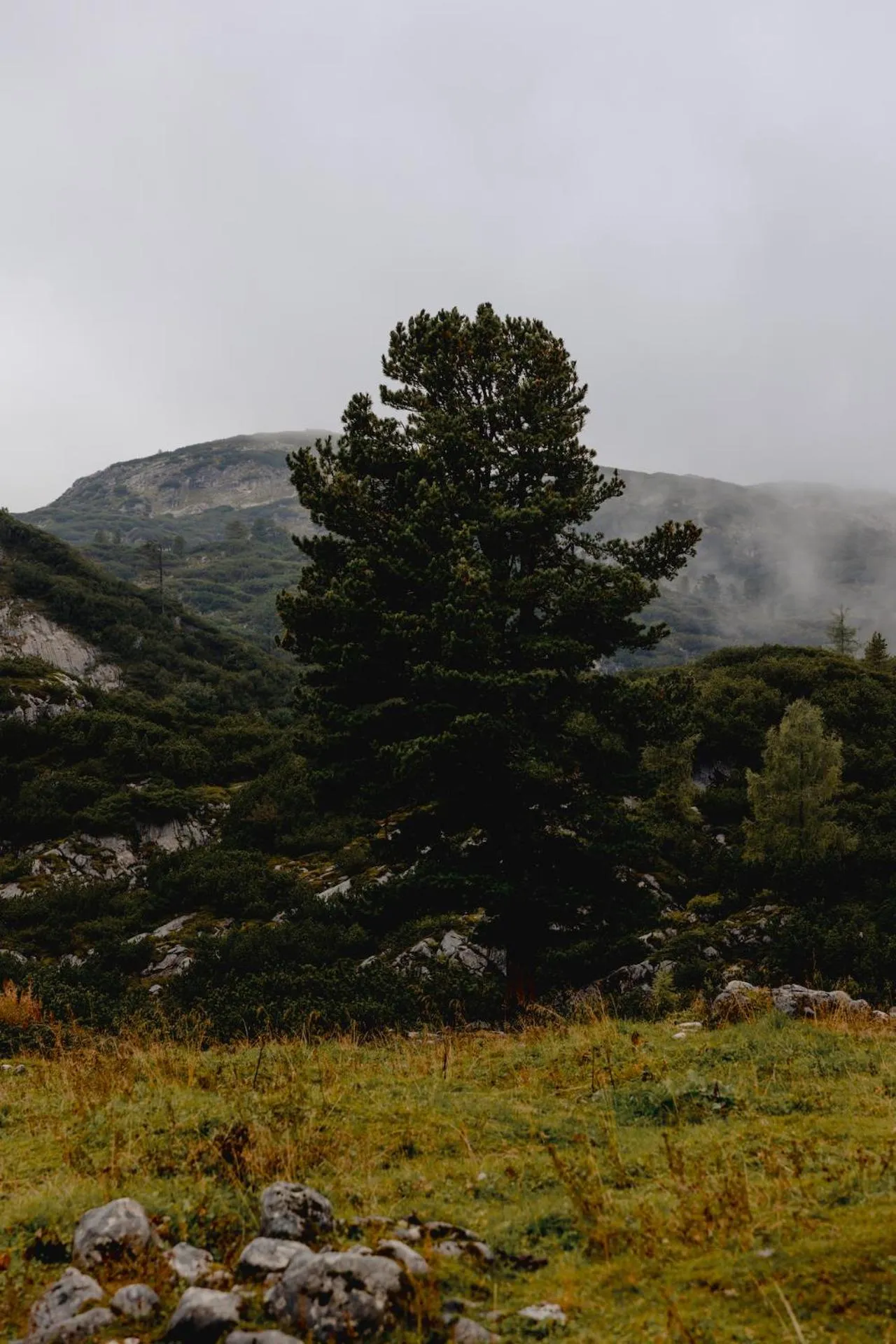 Gjaid-Alm 1739m am Dachstein-Only Accessible by Cable Car